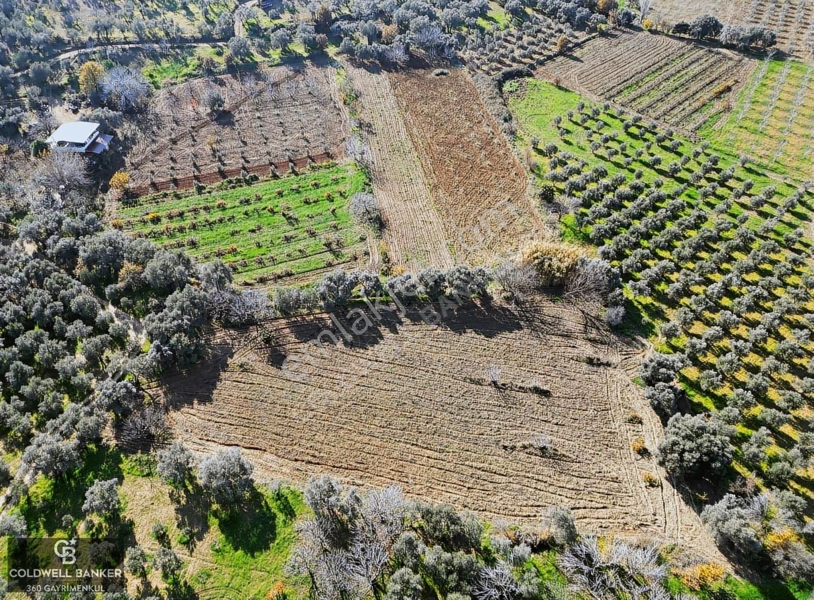 İzmir/torbalı/karakızlar Tek Tapu 3.677 M2 Satılık Tarla - Görsel 15