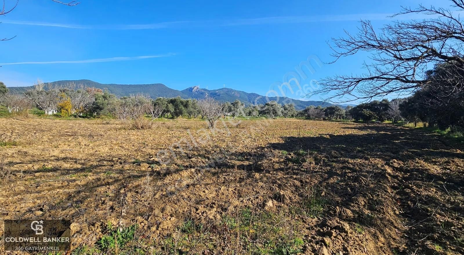 İzmir/torbalı/karakızlar Tek Tapu 3.677 M2 Satılık Tarla - Görsel 8