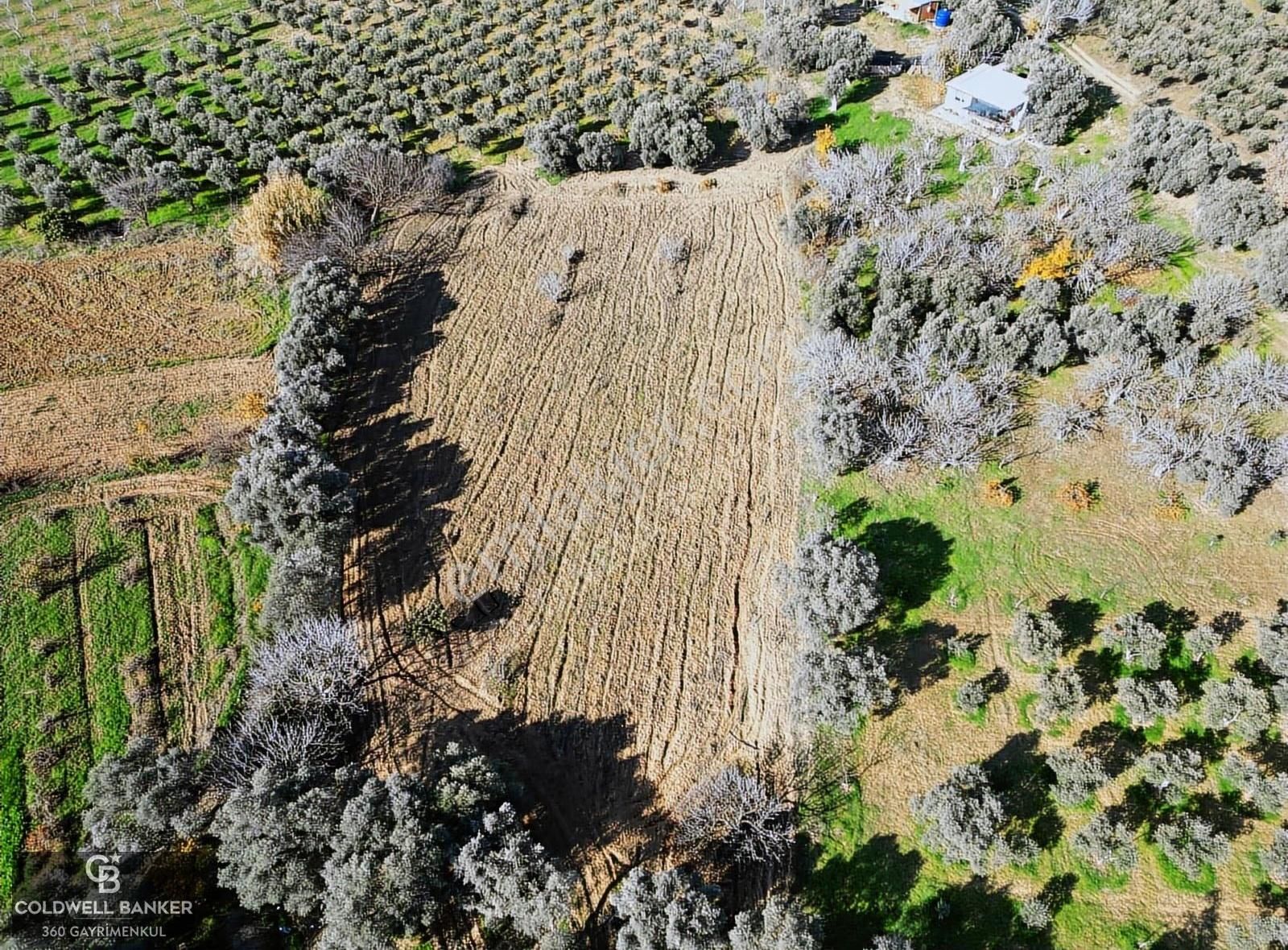 İzmir/torbalı/karakızlar Tek Tapu 3.677 M2 Satılık Tarla - Görsel 13