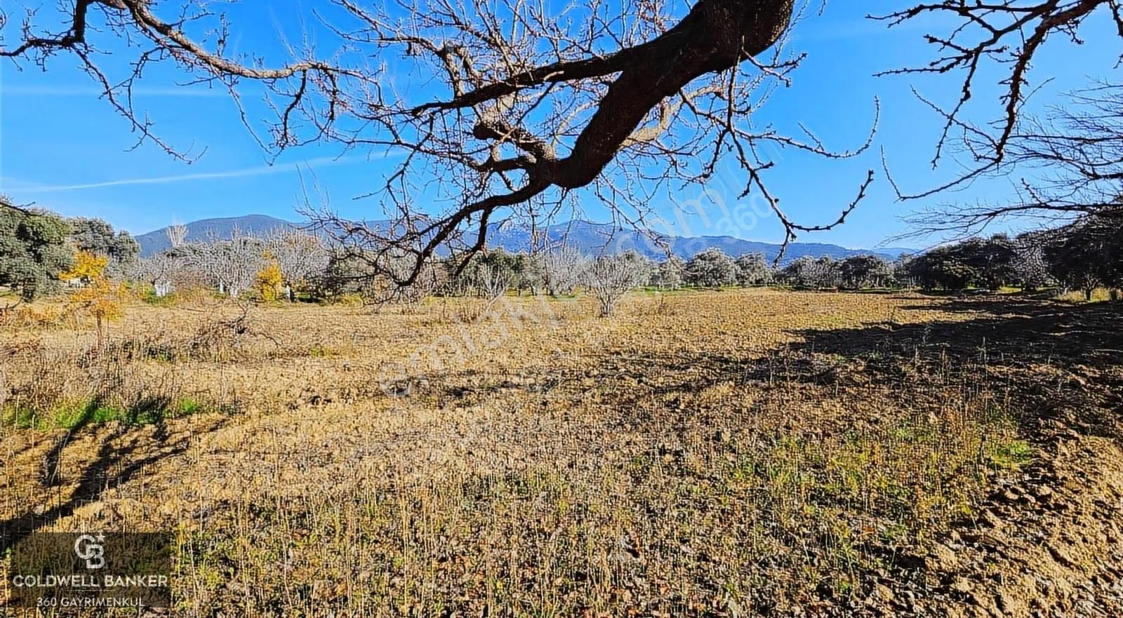 İzmir/torbalı/karakızlar Tek Tapu 3.677 M2 Satılık Tarla - Görsel 7
