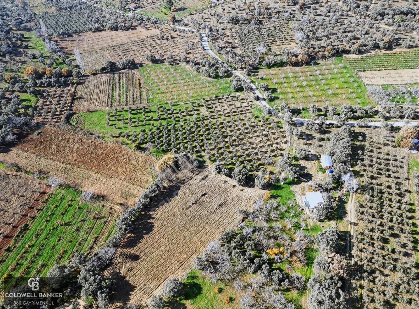 İzmir/torbalı/karakızlar Tek Tapu 3.677 M2 Satılık Tarla - Görsel 9