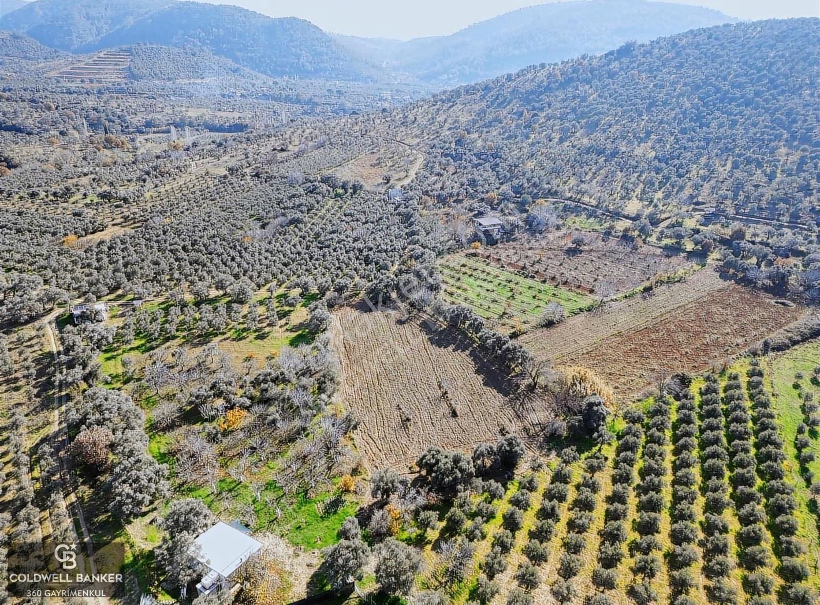 İzmir/torbalı/karakızlar Tek Tapu 3.677 M2 Satılık Tarla - Görsel 3