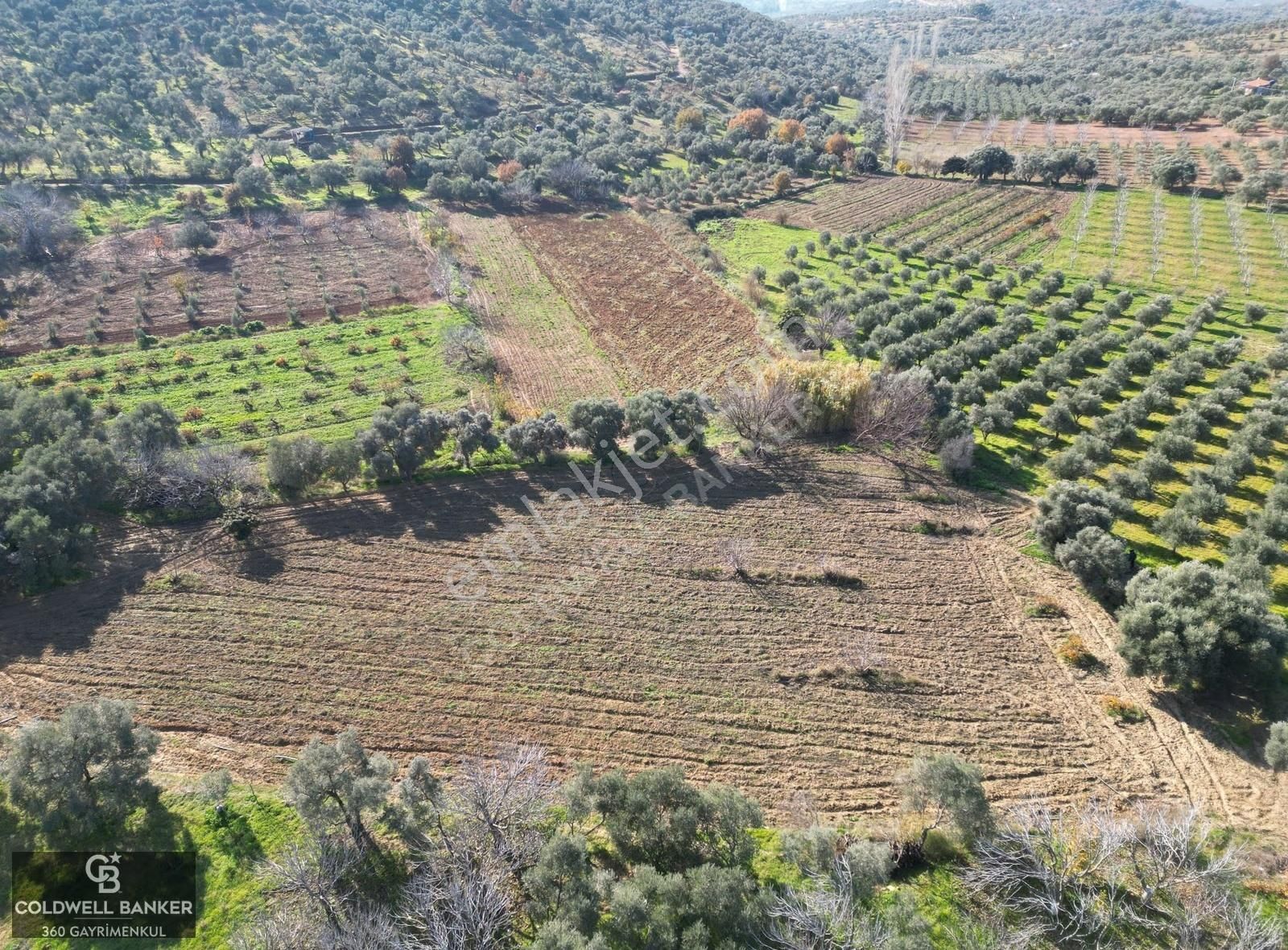 İzmir/torbalı/karakızlar Tek Tapu 3.677 M2 Satılık Tarla - Görsel 14