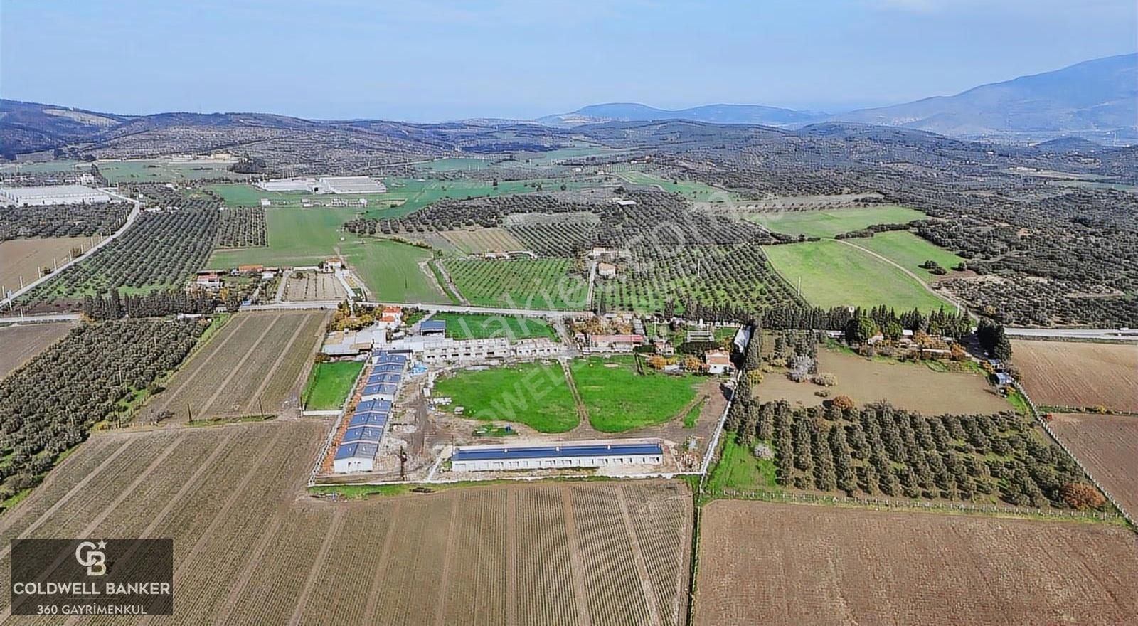 Foça Ilıpınar Da Kooperatiften Satılık Daire - Görsel 18