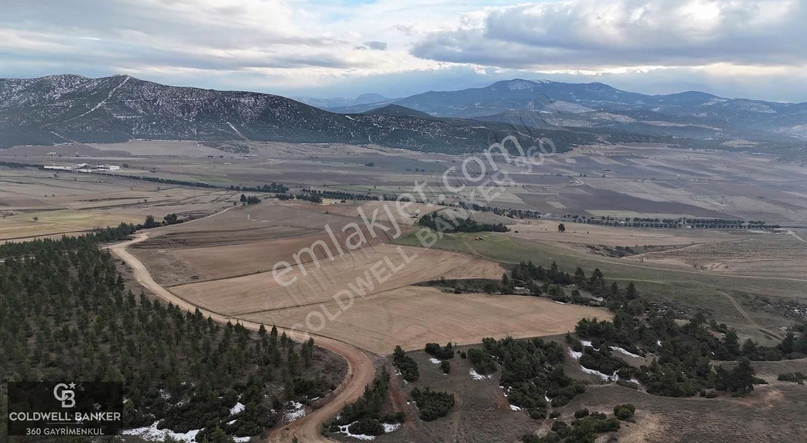 Denizli Bozkurt Satılık 14 Dönüm Tarla - Görsel 2