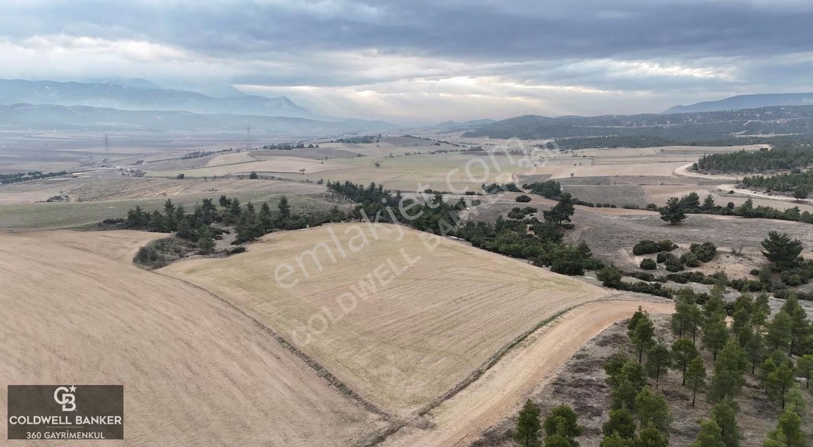 Denizli Bozkurt Satılık 14 Dönüm Tarla - Görsel 8