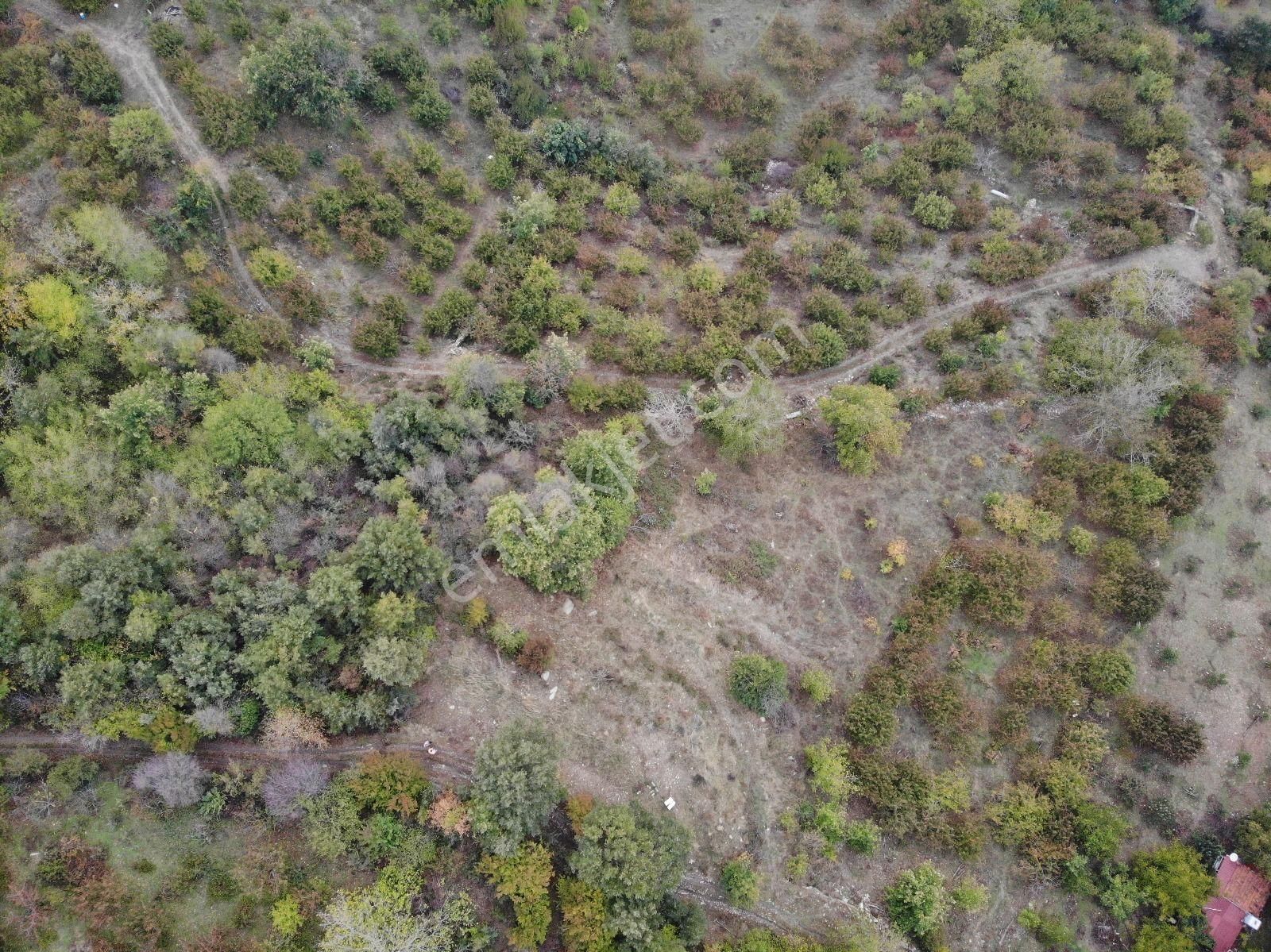 Jasse'den Satılık Tarla