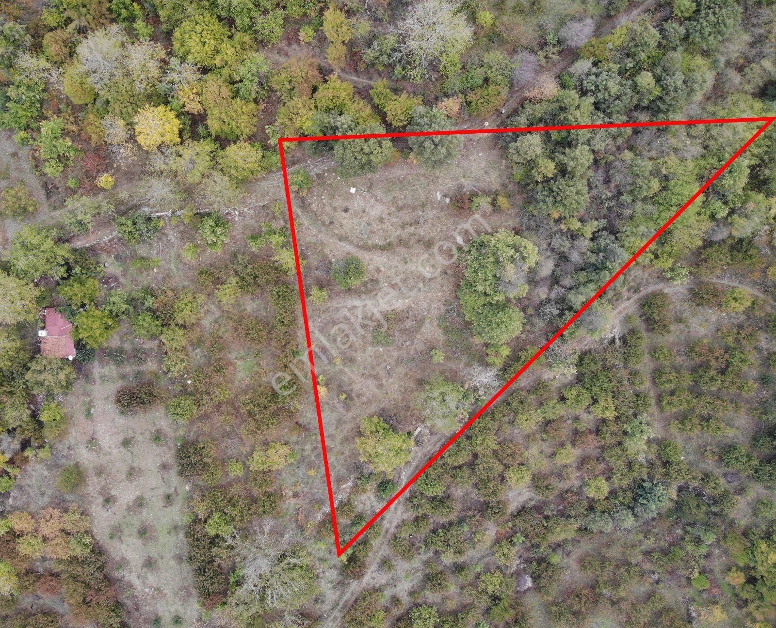 Jasse'den Satılık Tarla - Görsel 4