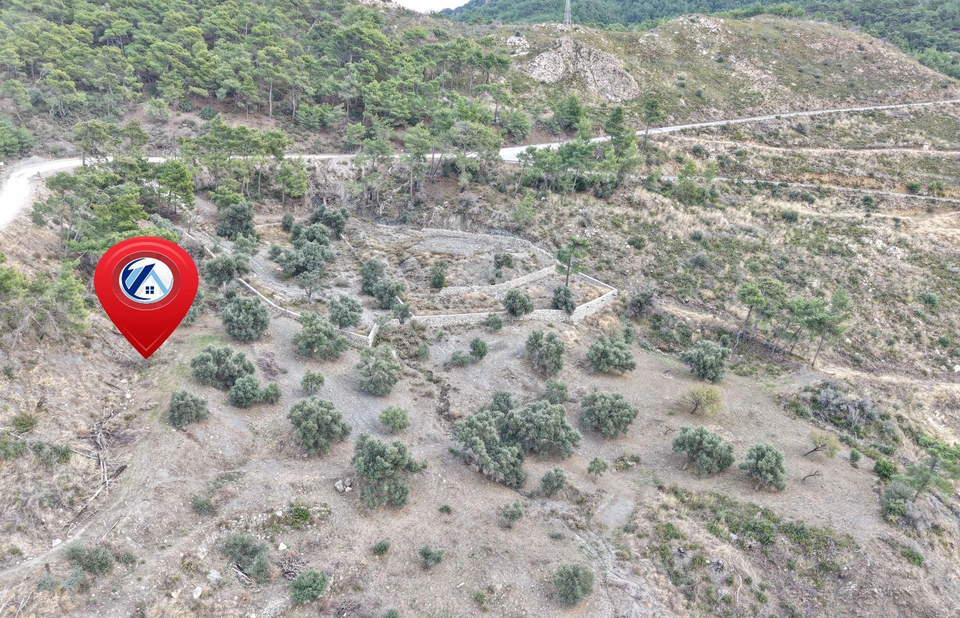 Datça Mesudiyede Panoramik Deniz Manzaralı 7.609m² Zeytinlik - Görsel 20