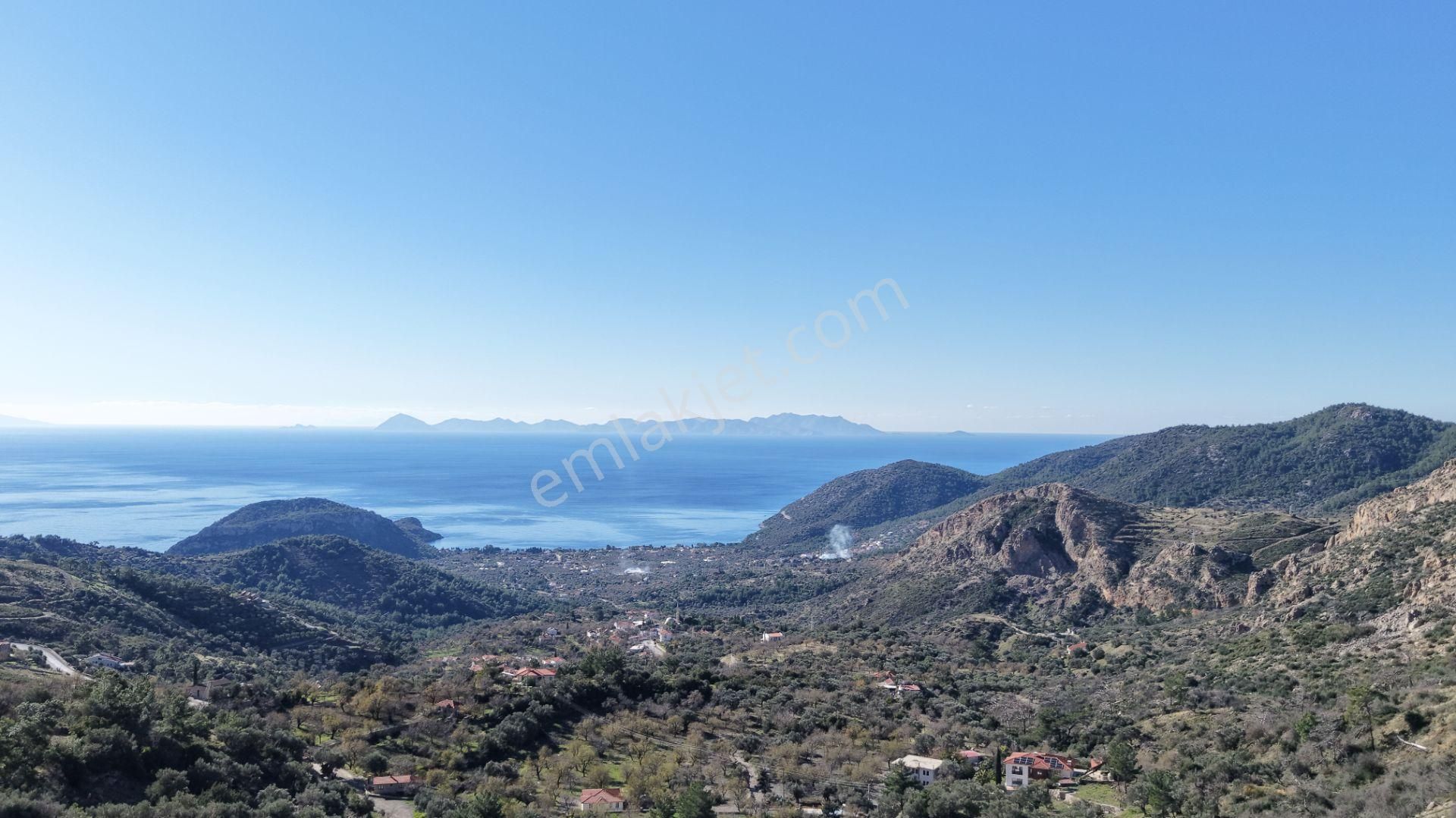 Datça Mesudiyede Panoramik Deniz Manzaralı 7.609m² Zeytinlik - Görsel 9