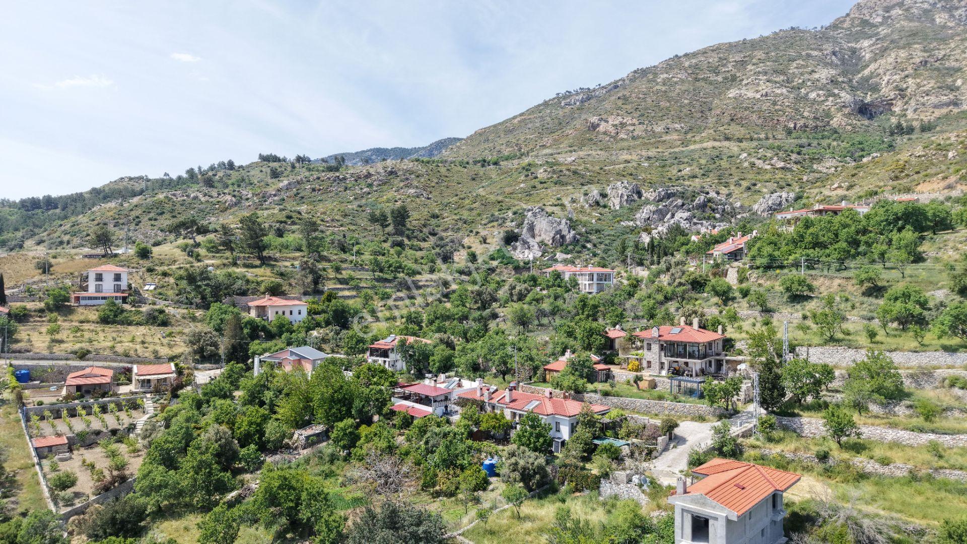 Datça Mesudiyede Panoramik Deniz Manzaralı 7.609m² Zeytinlik