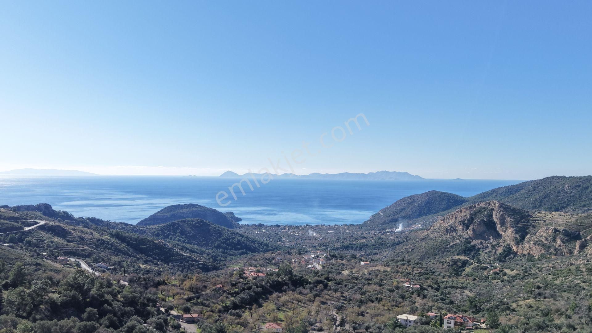 Datça Mesudiyede Panoramik Deniz Manzaralı 7.609m² Zeytinlik - Görsel 5