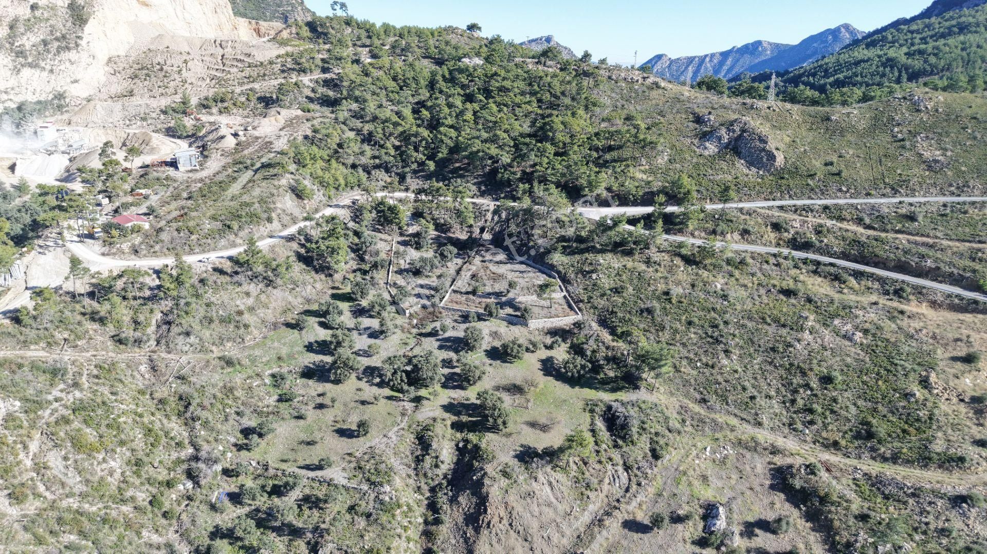 Datça Mesudiyede Panoramik Deniz Manzaralı 7.609m² Zeytinlik - Görsel 18