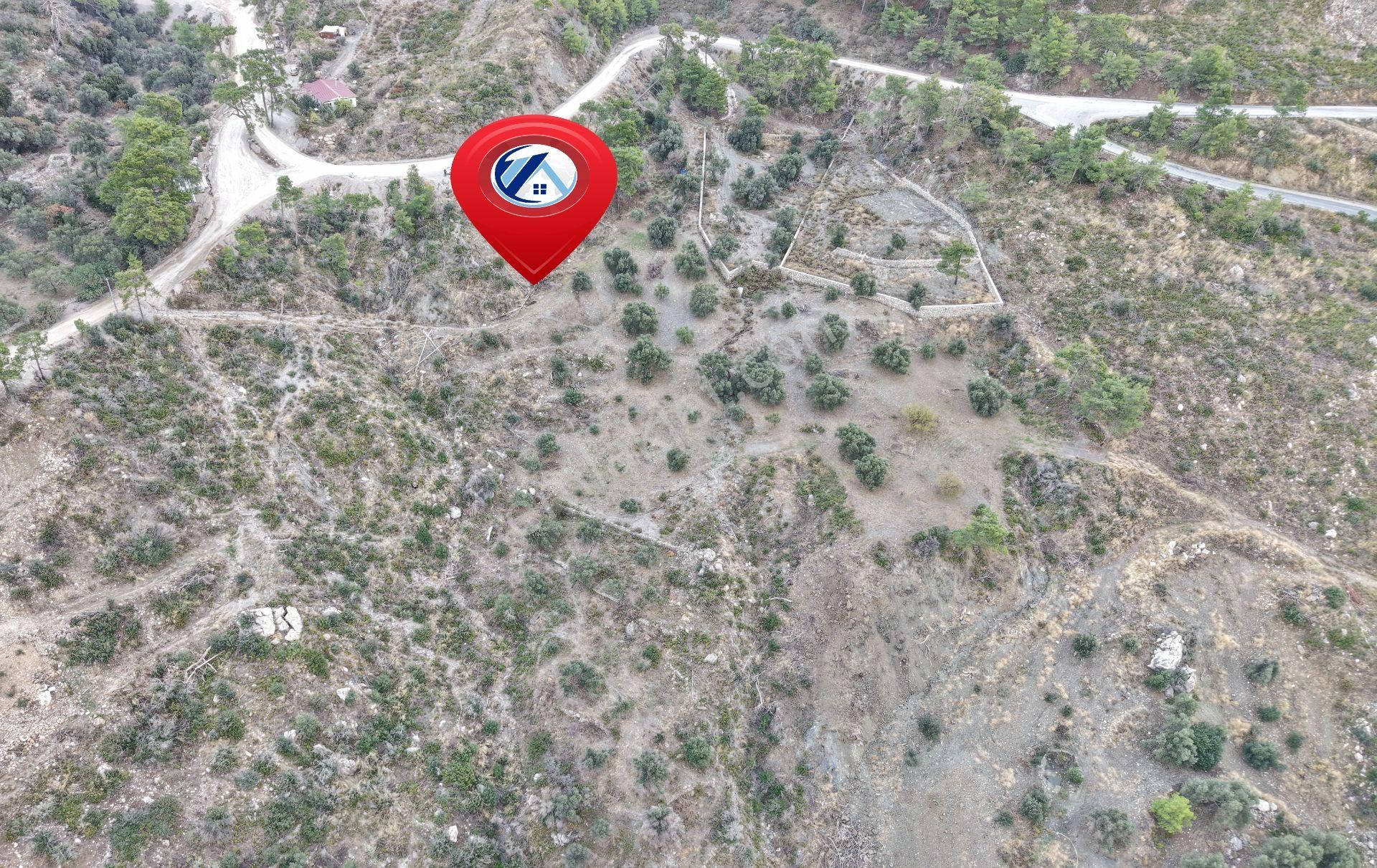 Datça Mesudiyede Panoramik Deniz Manzaralı 7.609m² Zeytinlik - Görsel 22