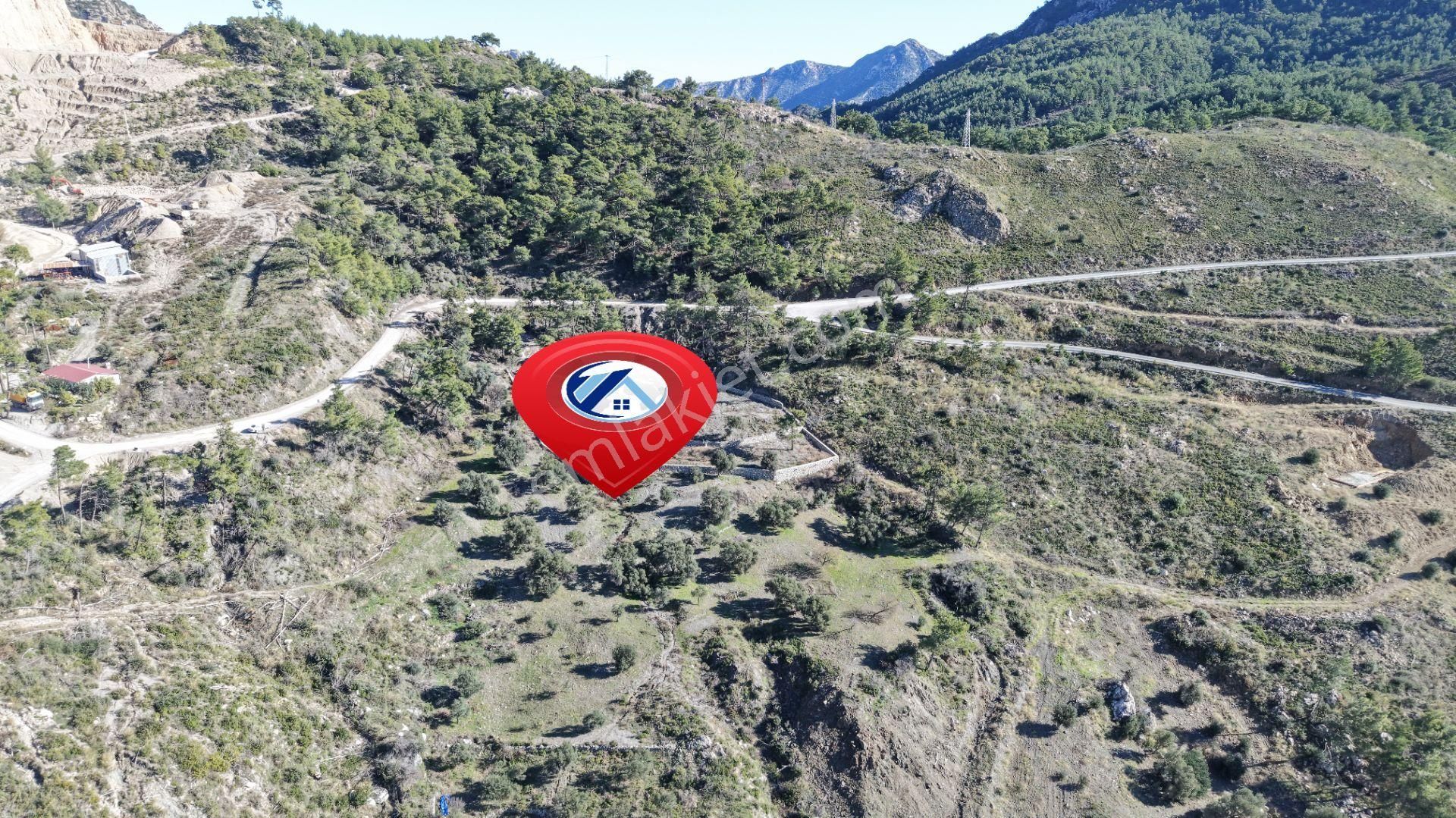 Datça Mesudiyede Panoramik Deniz Manzaralı 7.609m² Zeytinlik - Görsel 6