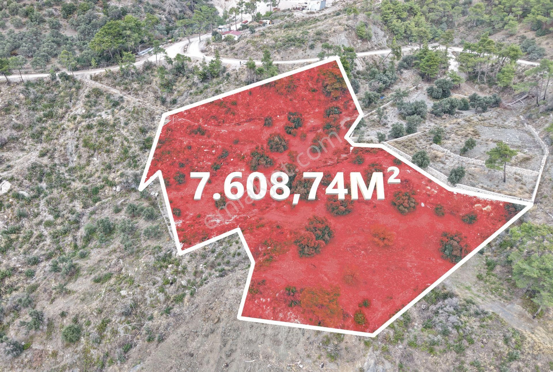 Datça Mesudiyede Panoramik Deniz Manzaralı 7.609m² Zeytinlik - Görsel 4