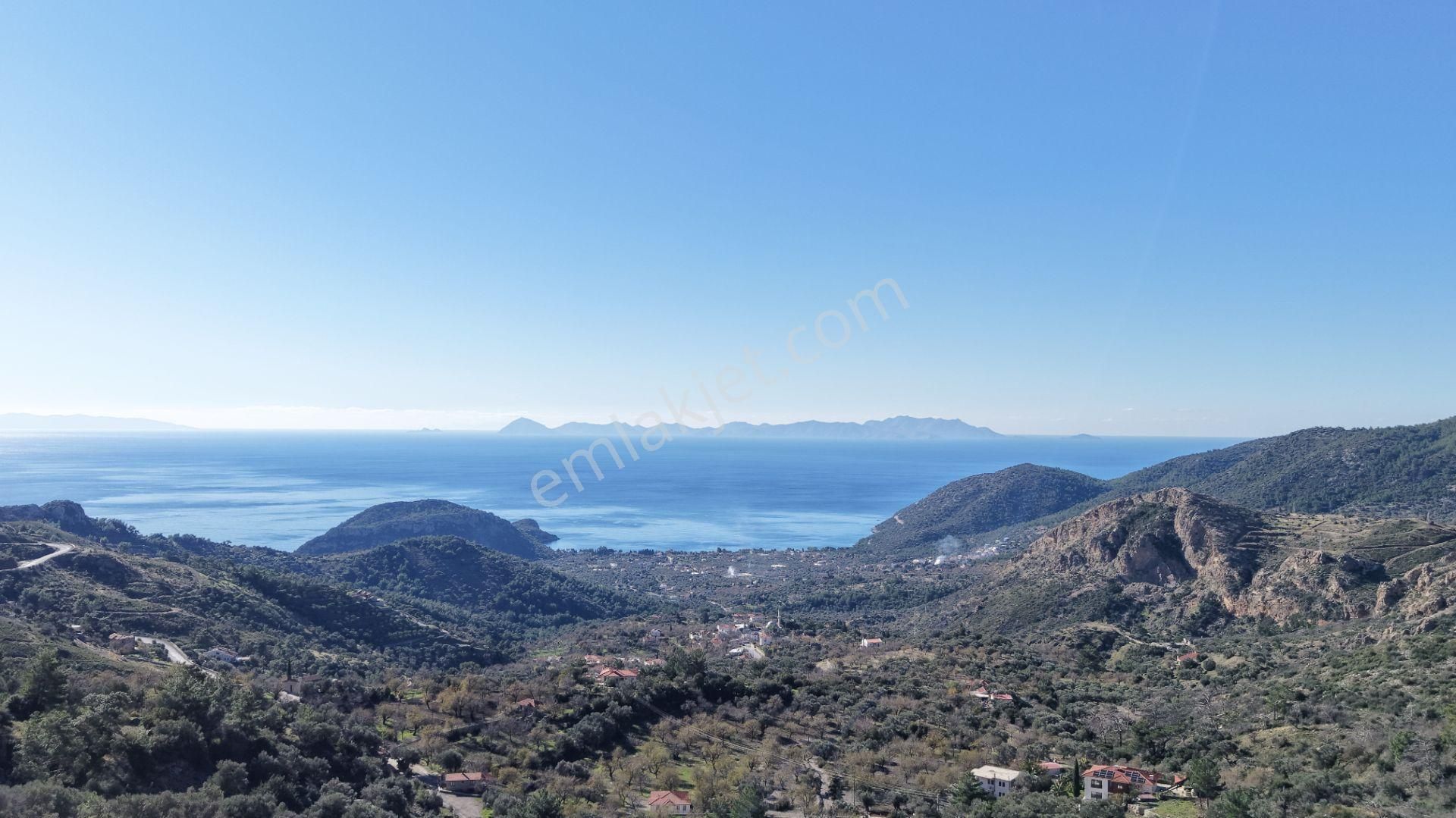 Datça Mesudiyede Panoramik Deniz Manzaralı 7.609m² Zeytinlik