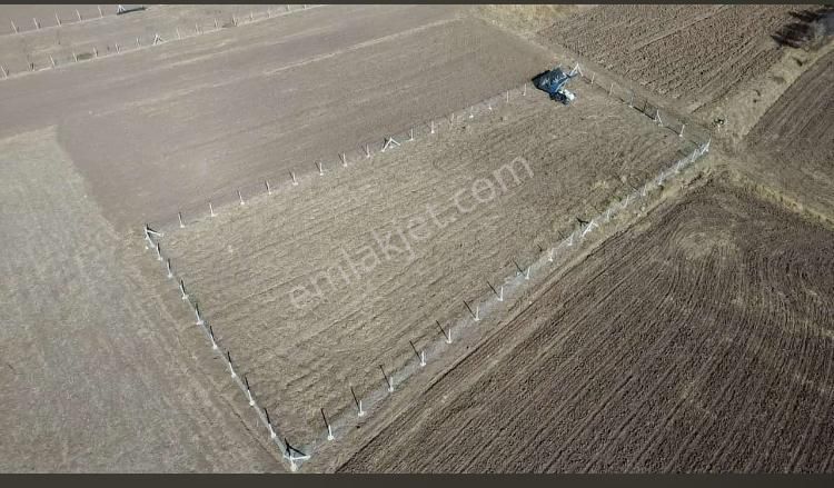 Sahibinden Müstakil Teli Çekili 1485 M2 Tarla - Görsel 3