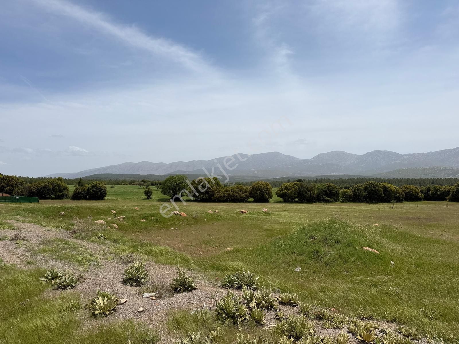 Ender Uysal Gayrimenkulden Tavas Yaka Da Satılık Villa Arsası..... - Görsel 11