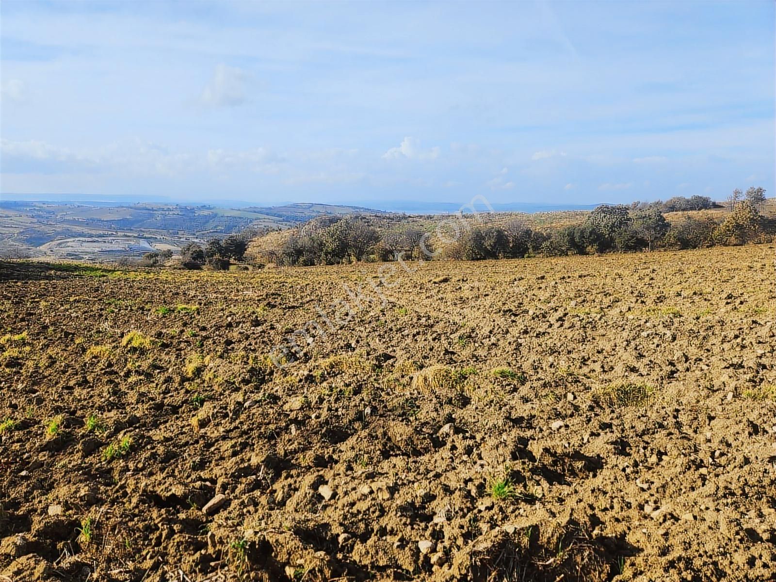 Çanakkale Merkez Yukarıokçular Satılık Boğaz Manzaralı Tarla. - Görsel 21