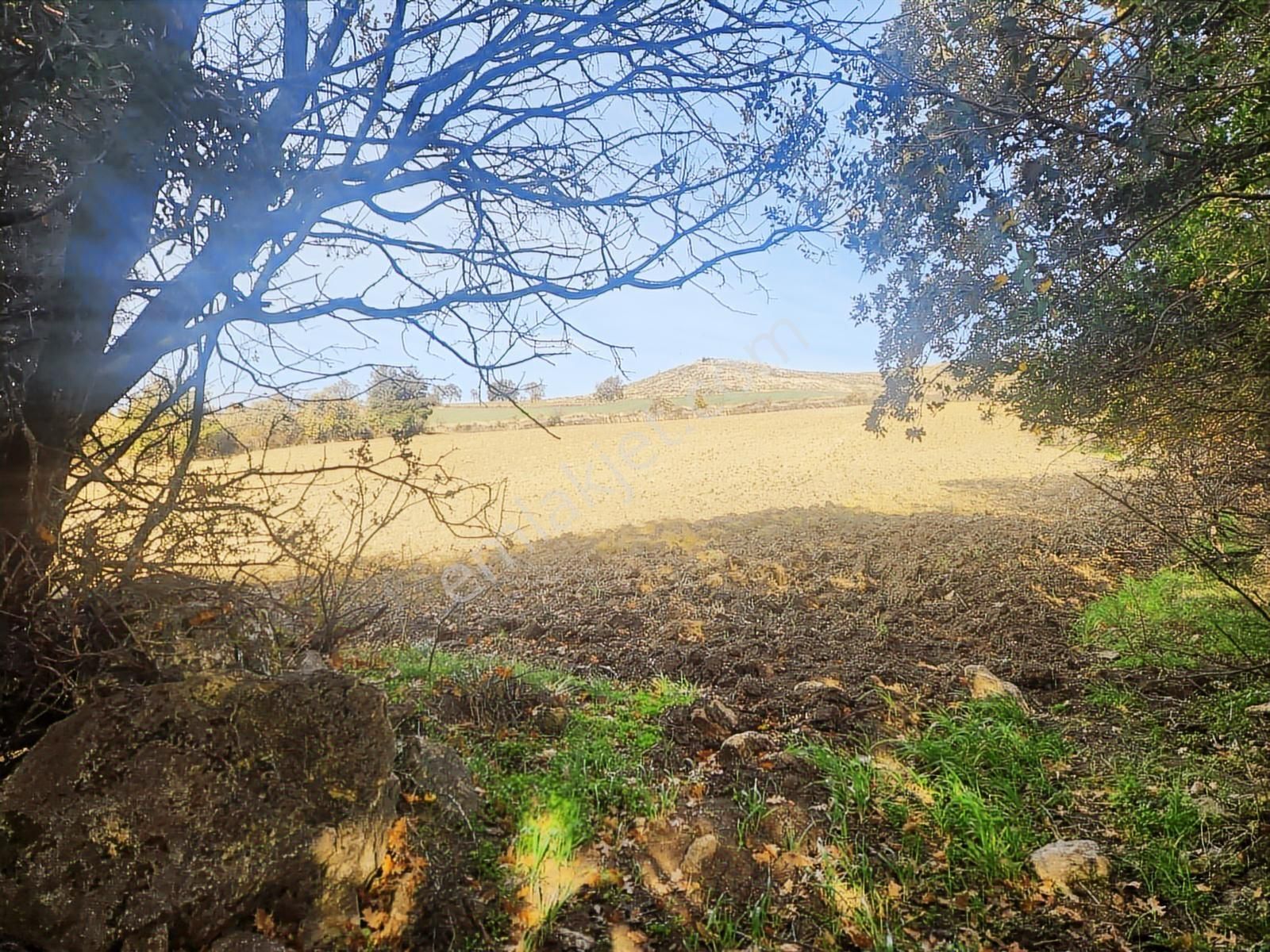 Çanakkale Merkez Yukarıokçular Satılık Boğaz Manzaralı Tarla. - Görsel 25