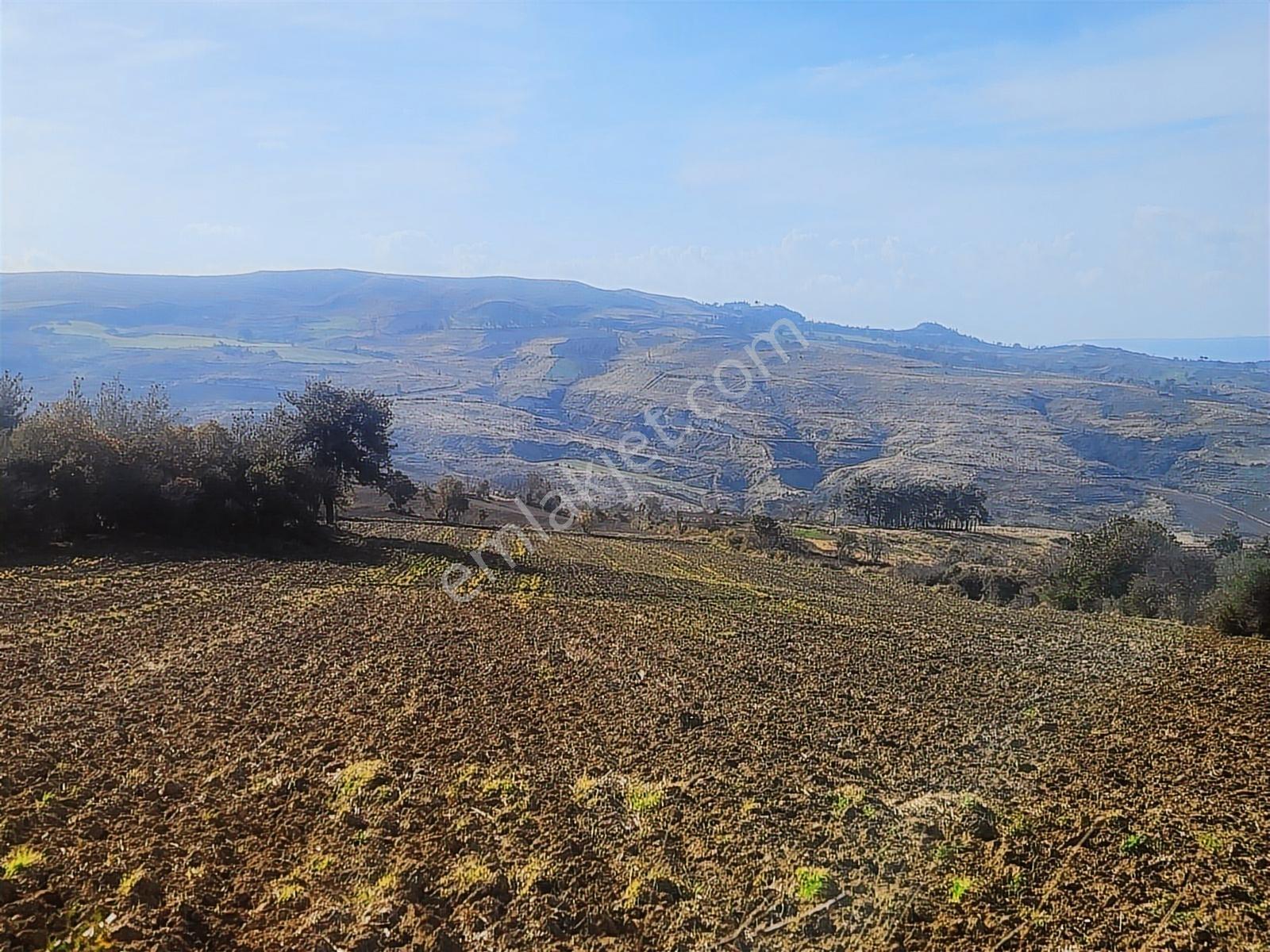 Çanakkale Merkez Yukarıokçular Satılık Boğaz Manzaralı Tarla. - Görsel 4