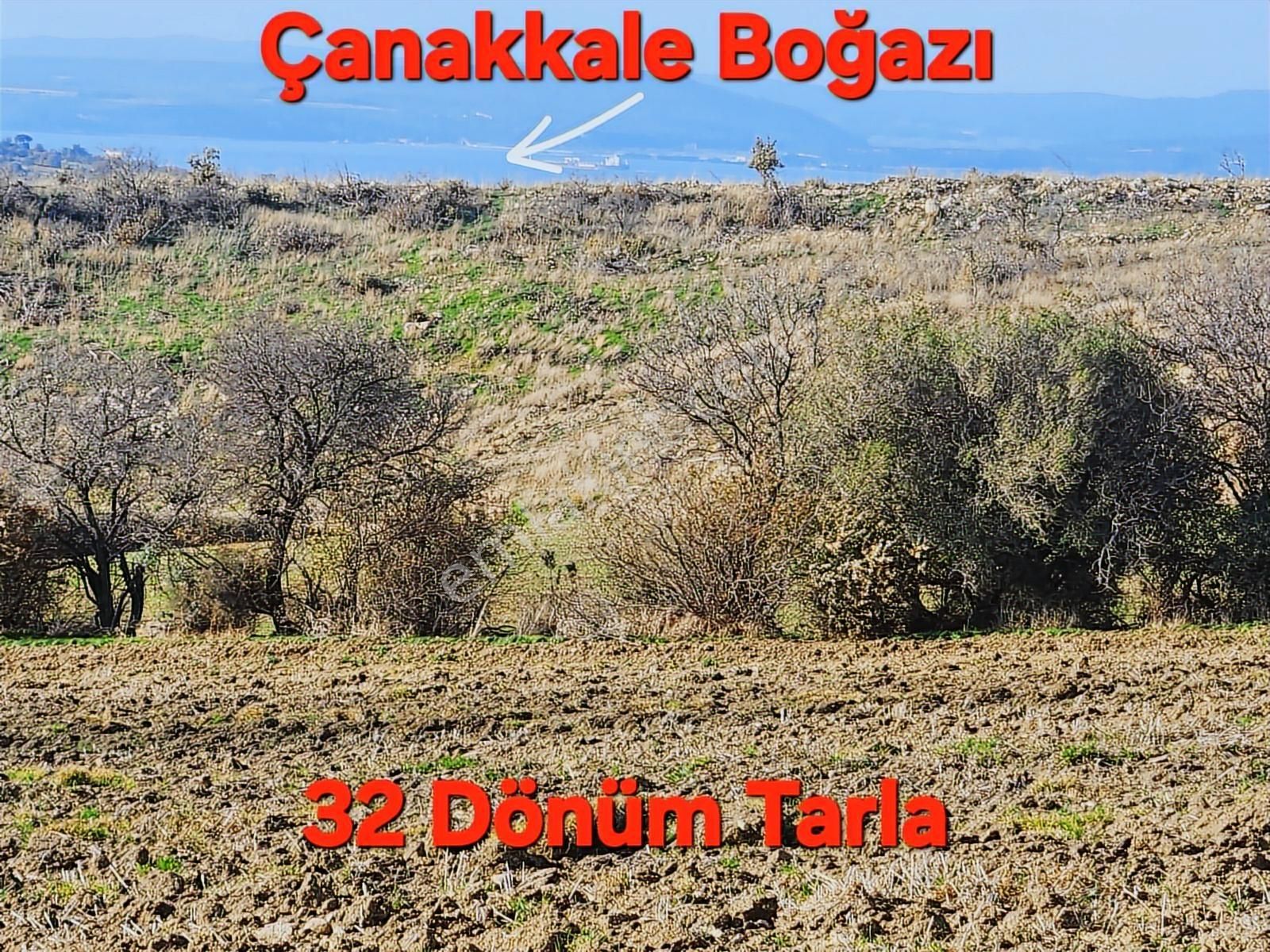 Çanakkale Merkez Yukarıokçular Satılık Boğaz Manzaralı Tarla. - Görsel 19