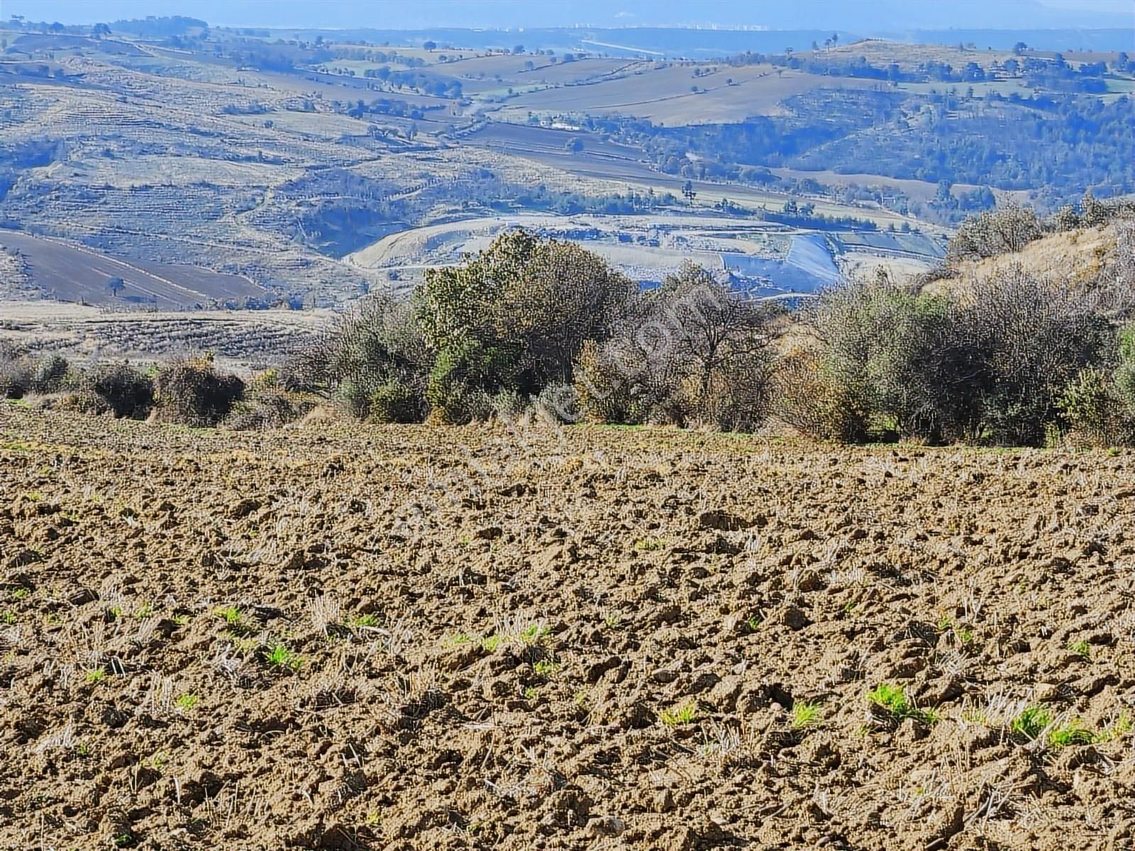 Çanakkale Merkez Yukarıokçular Satılık Boğaz Manzaralı Tarla. - Görsel 29