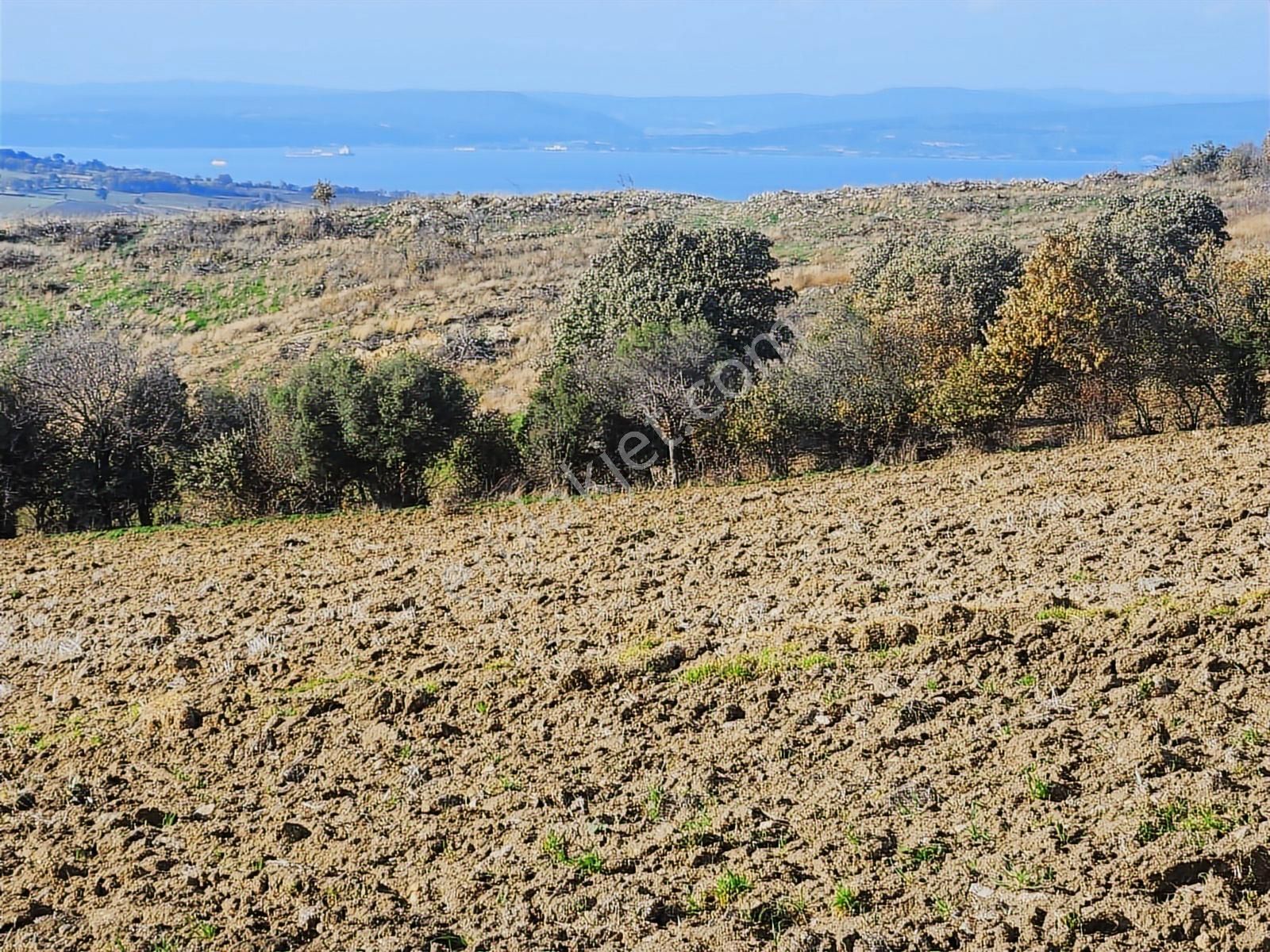 Çanakkale Merkez Yukarıokçular Satılık Boğaz Manzaralı Tarla. - Görsel 17