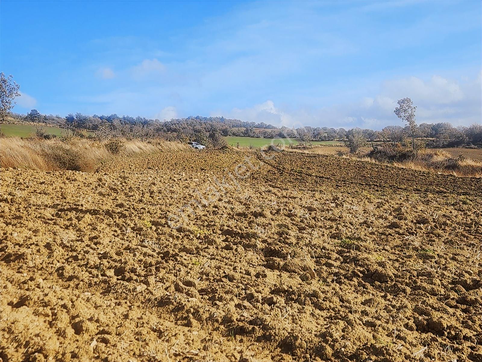 Çanakkale Merkez Yukarıokçular Satılık Boğaz Manzaralı Tarla. - Görsel 10