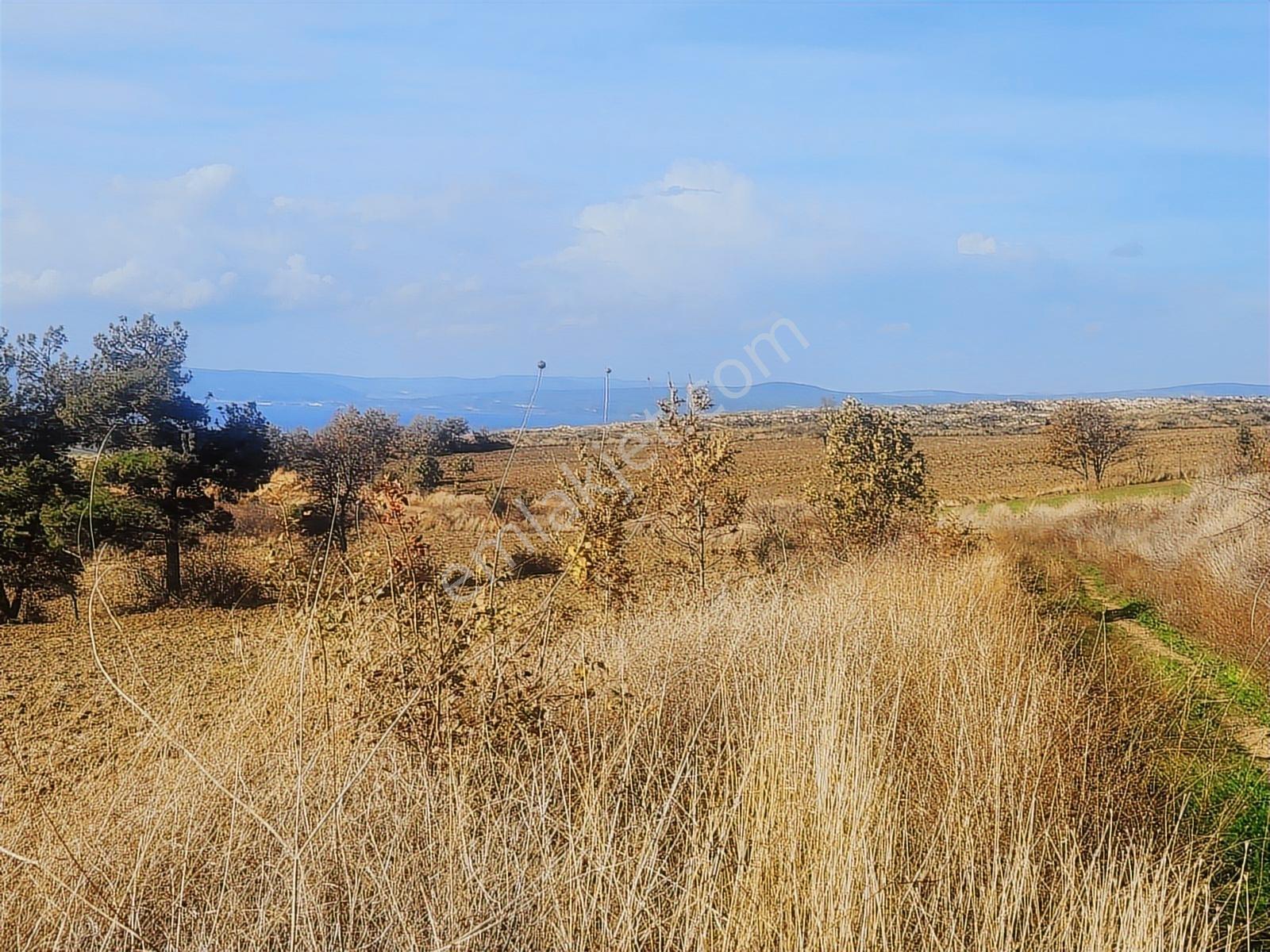 Çanakkale Merkez Yukarıokçular Satılık Boğaz Manzaralı Tarla. - Görsel 22