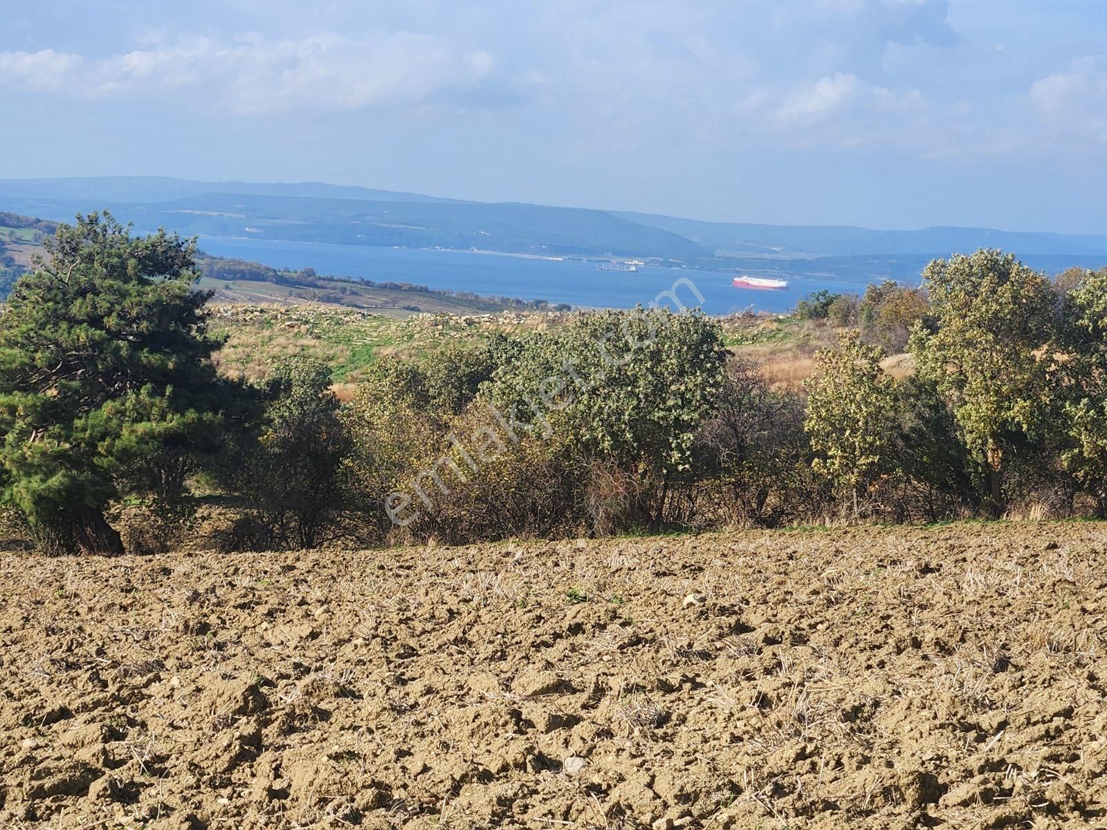 Çanakkale Merkez Yukarıokçular Satılık Boğaz Manzaralı Tarla.