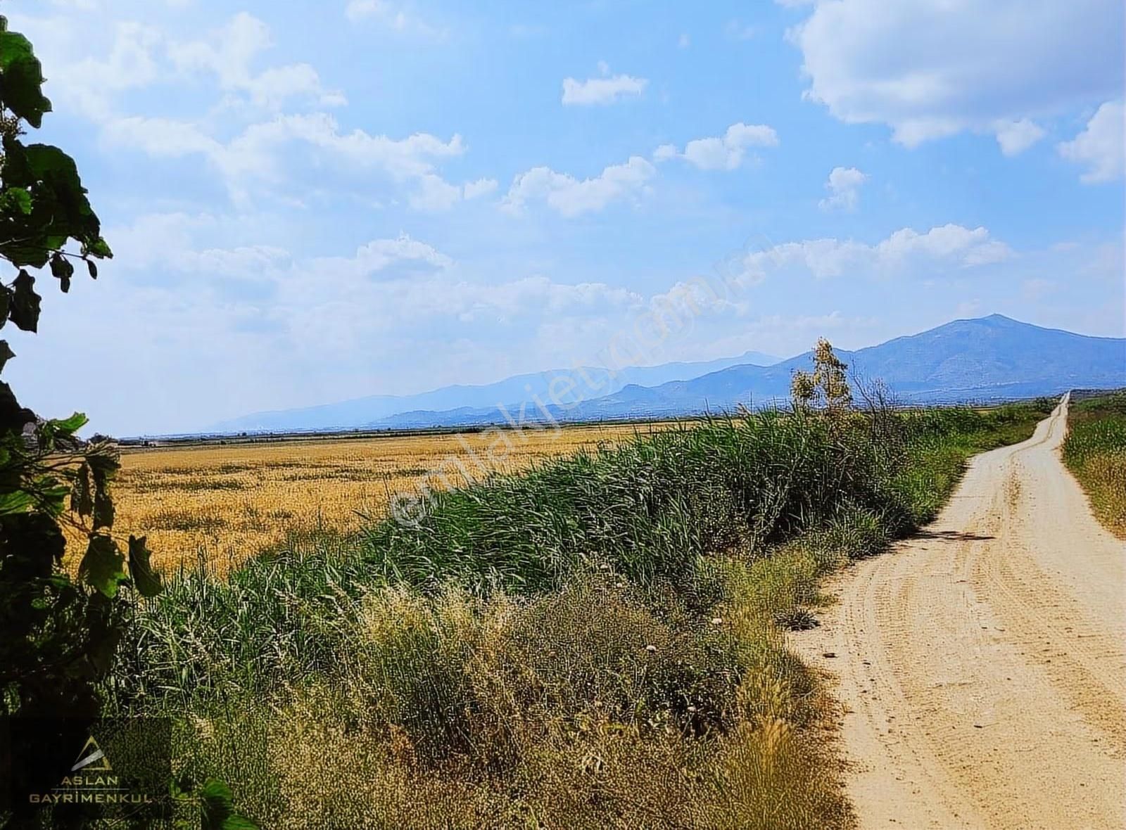 Aydın'da Kaçırılmayacak Yatırımlık 3000 M2 Tarla - Görsel 3