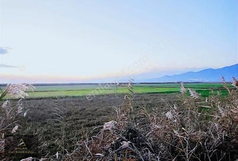 Aydın'da Kaçırılmayacak Yatırımlık 3000 M2 Tarla - Görsel 13