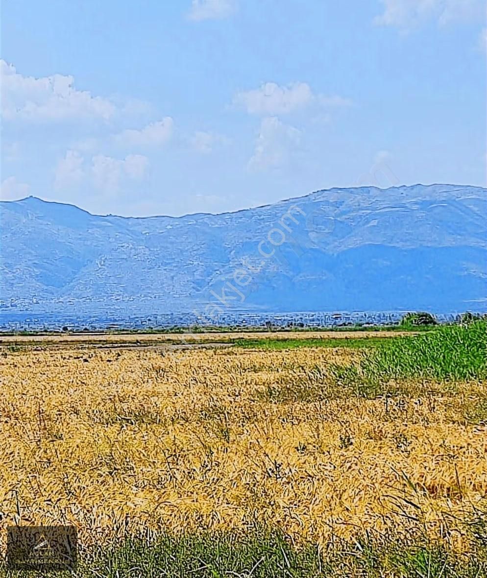 Aydın'da Kaçırılmayacak Yatırımlık 3000 M2 Tarla - Görsel 6