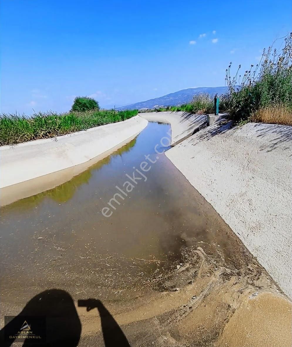 Aydın'da Kaçırılmayacak Yatırımlık 3000 M2 Tarla - Görsel 9