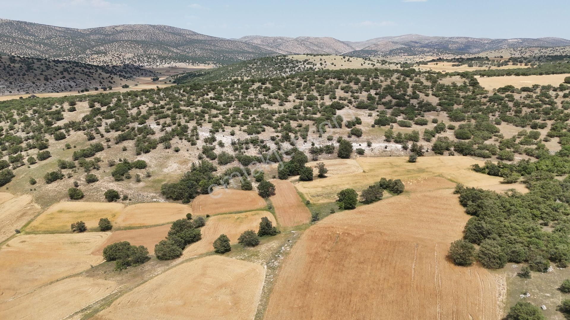 Meram Kilistra Da 952 M2 Müstakil Tapulu Tarla - Görsel 5
