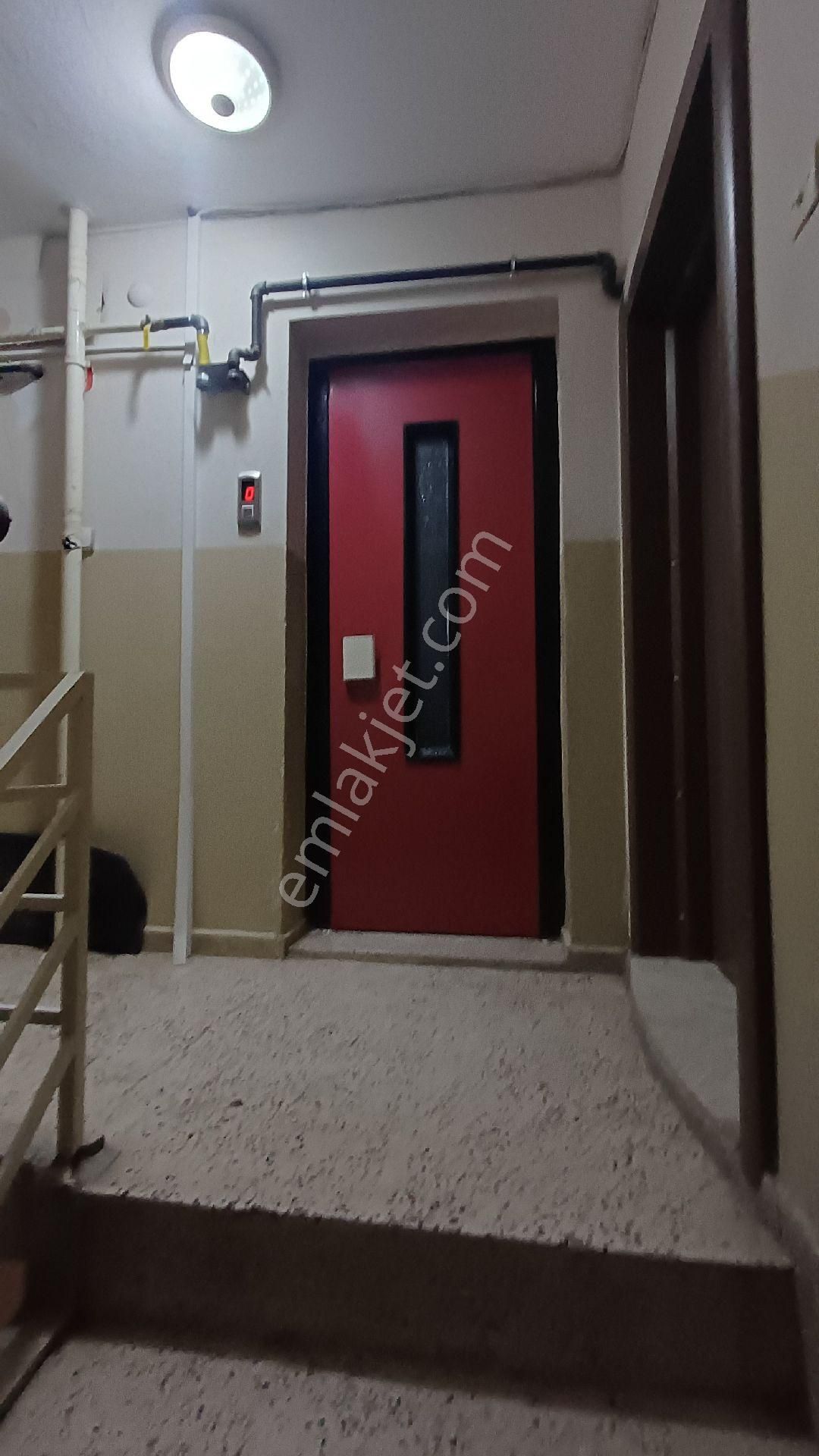 Doğanay Mah. 3+1 - Görsel 19