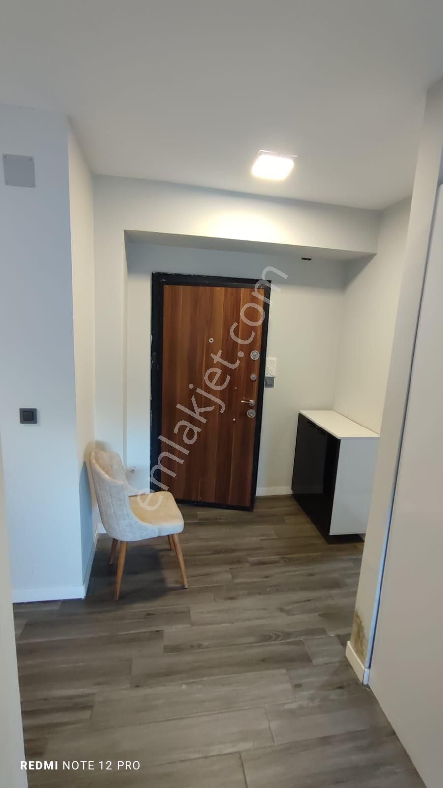 Elektrik Su Aboneliği Yok 1+1 Eşyalı Kiralık Cadde Üzeri - Görsel 13