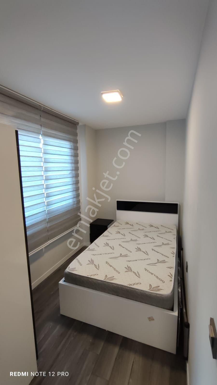 Elektrik Su Aboneliği Yok 1+1 Eşyalı Kiralık Cadde Üzeri - Görsel 8