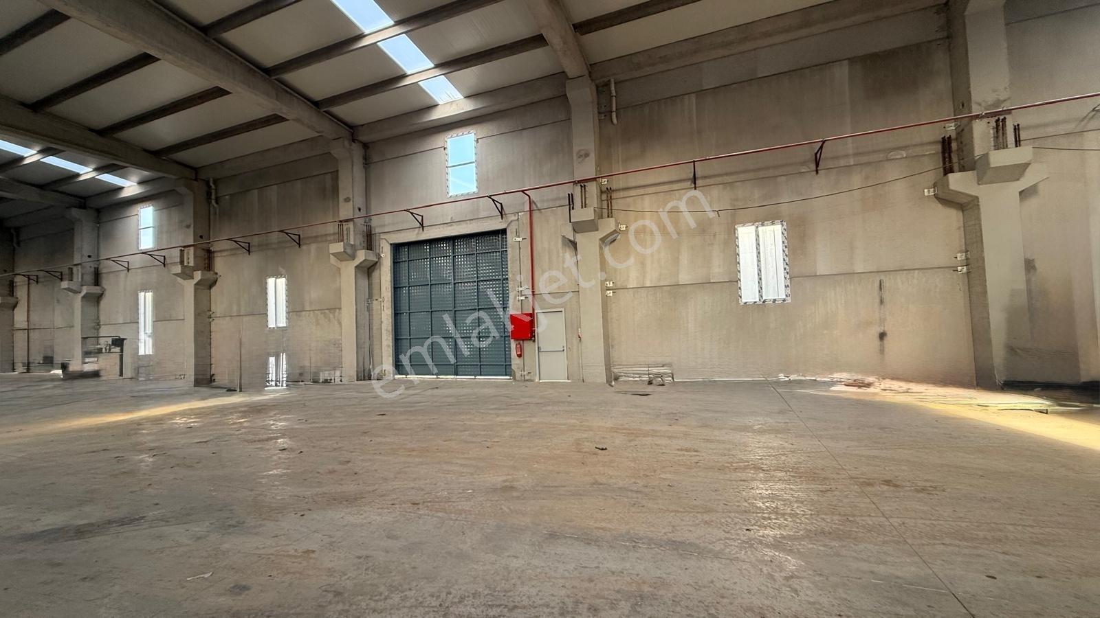 Turyaptan Velimeşe De 3000 M2 Kiralık Lojistik & Depolama Tesisi - Görsel 8