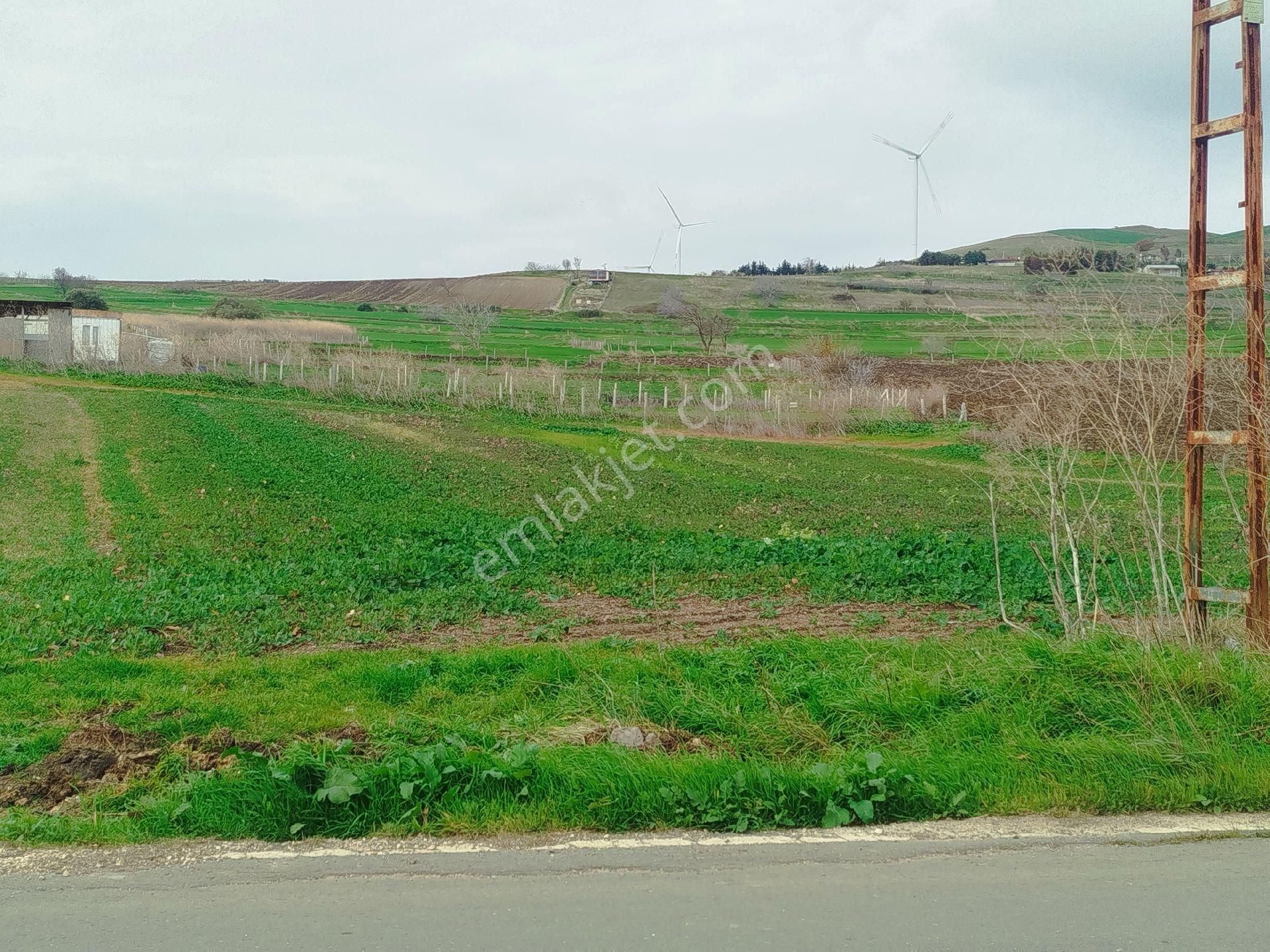Silivri Çantaköyde Anayola 4.parsel Merkezi Konumlu Müstakil Tarla - Görsel 6