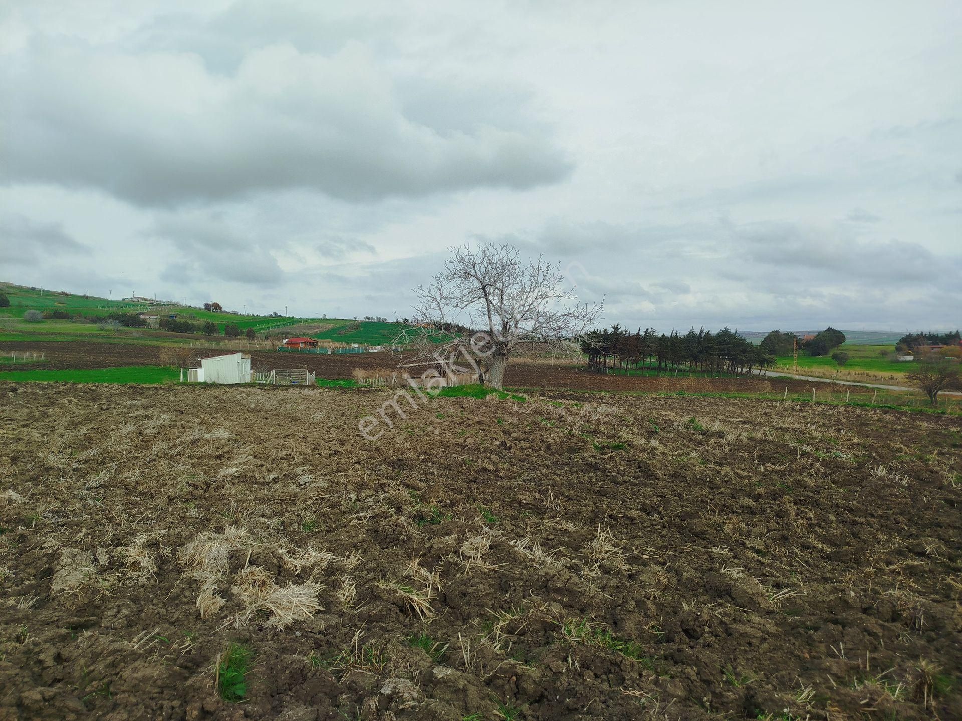 Silivri Çantaköyde Anayola 4.parsel Merkezi Konumlu Müstakil Tarla - Görsel 17