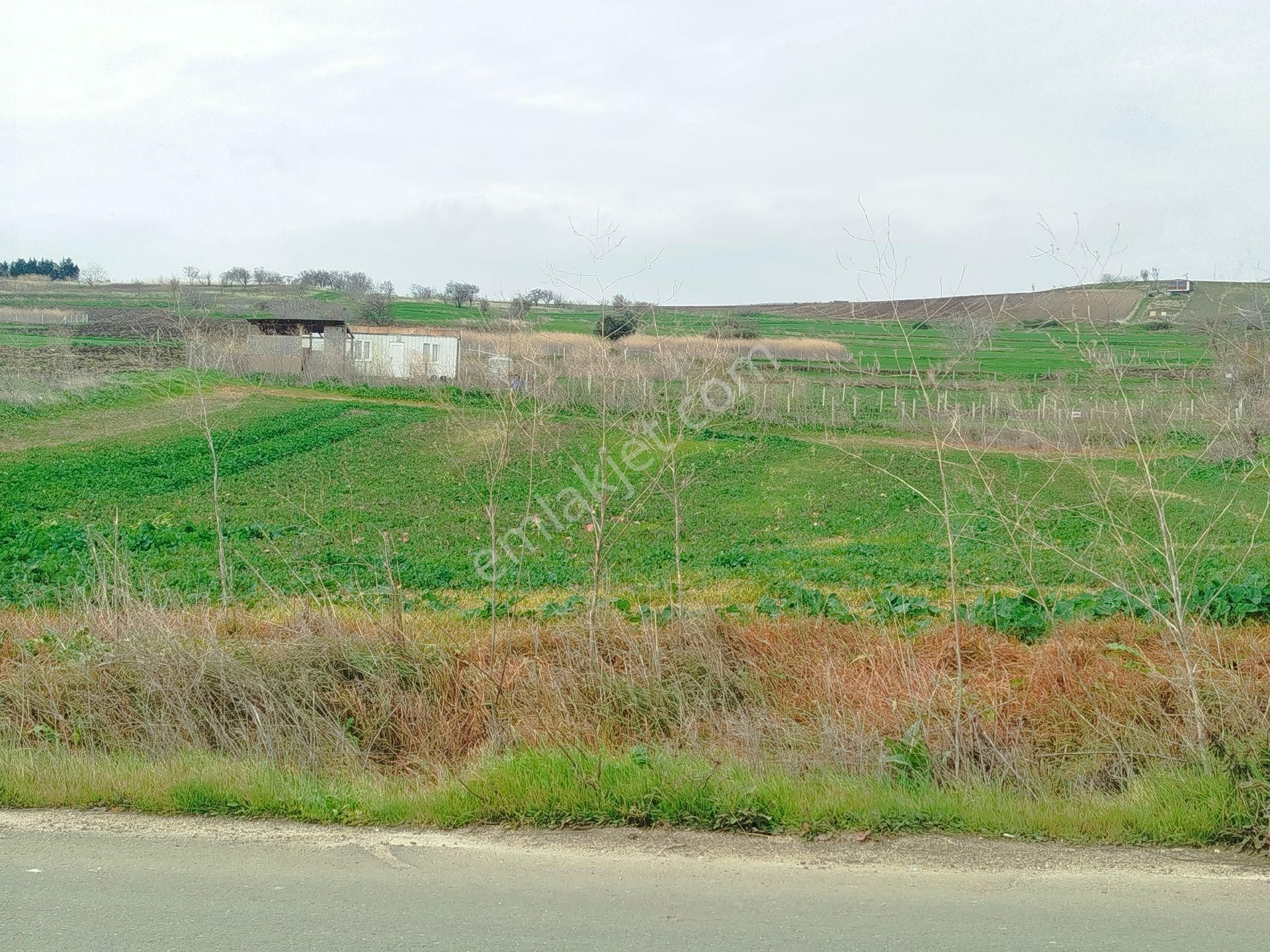 Silivri Çantaköyde Anayola 4.parsel Merkezi Konumlu Müstakil Tarla