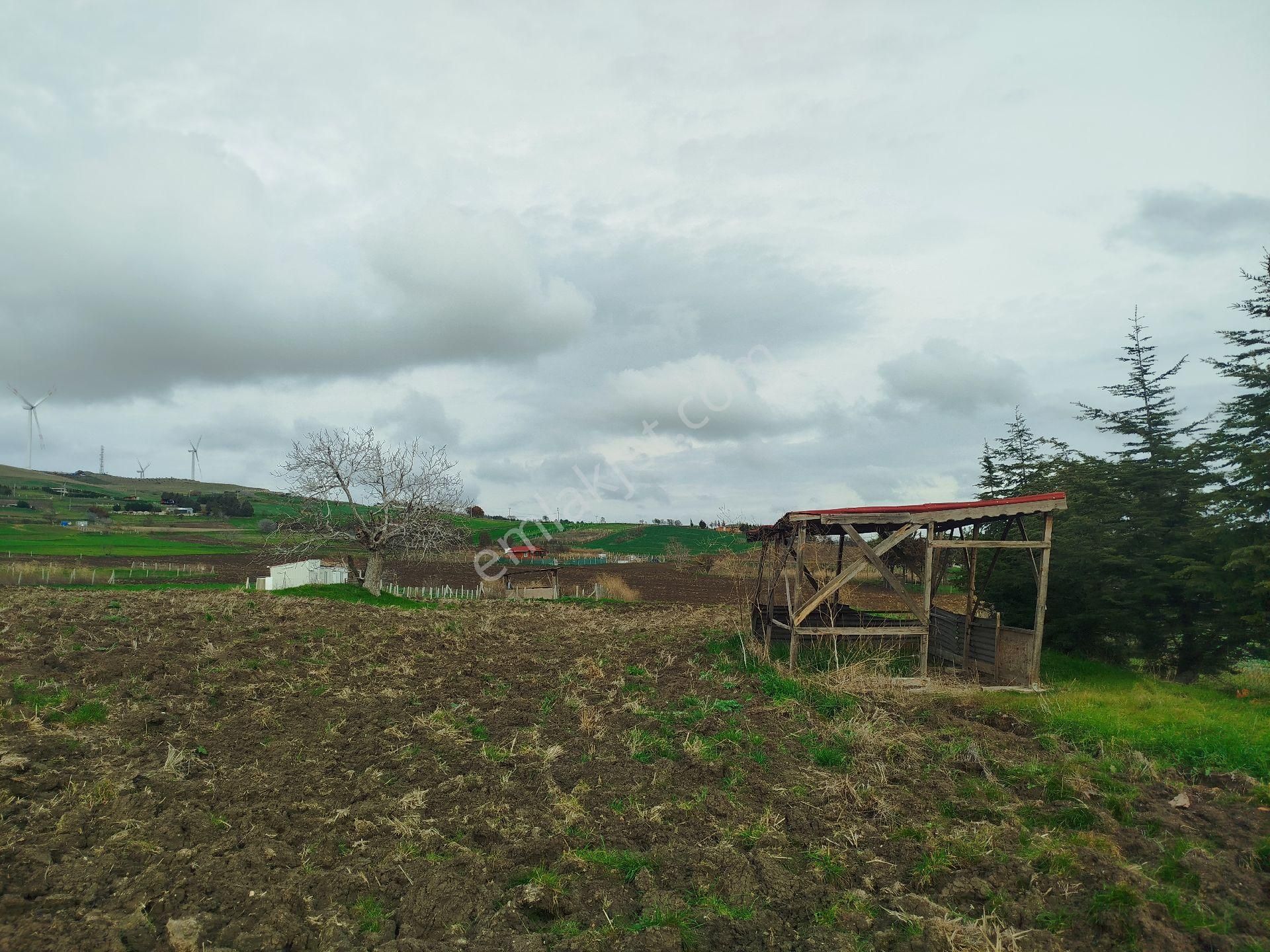 Silivri Çantaköyde Anayola 4.parsel Merkezi Konumlu Müstakil Tarla - Görsel 12