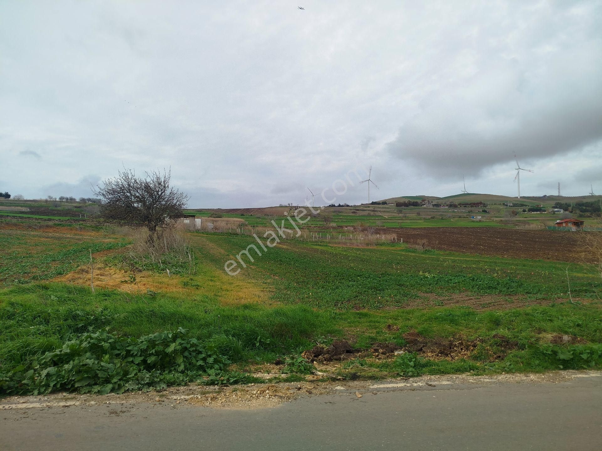 Silivri Çantaköyde Anayola 4.parsel Merkezi Konumlu Müstakil Tarla - Görsel 9