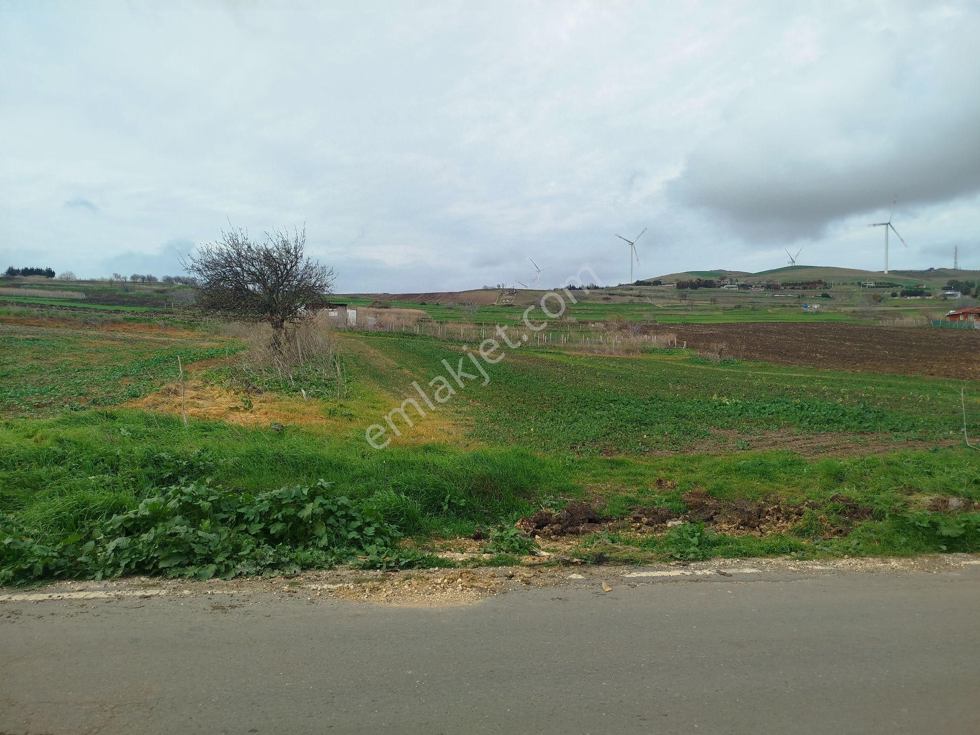 Silivri Çantaköyde Anayola 4.parsel Merkezi Konumlu Müstakil Tarla - Görsel 13