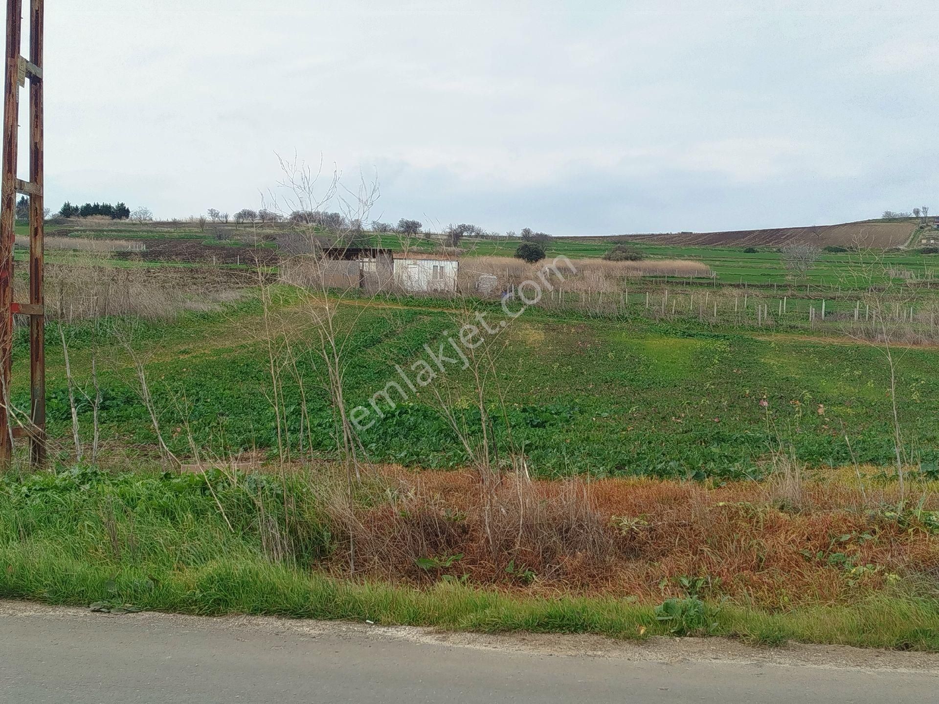 Silivri Çantaköyde Anayola 4.parsel Merkezi Konumlu Müstakil Tarla - Görsel 4