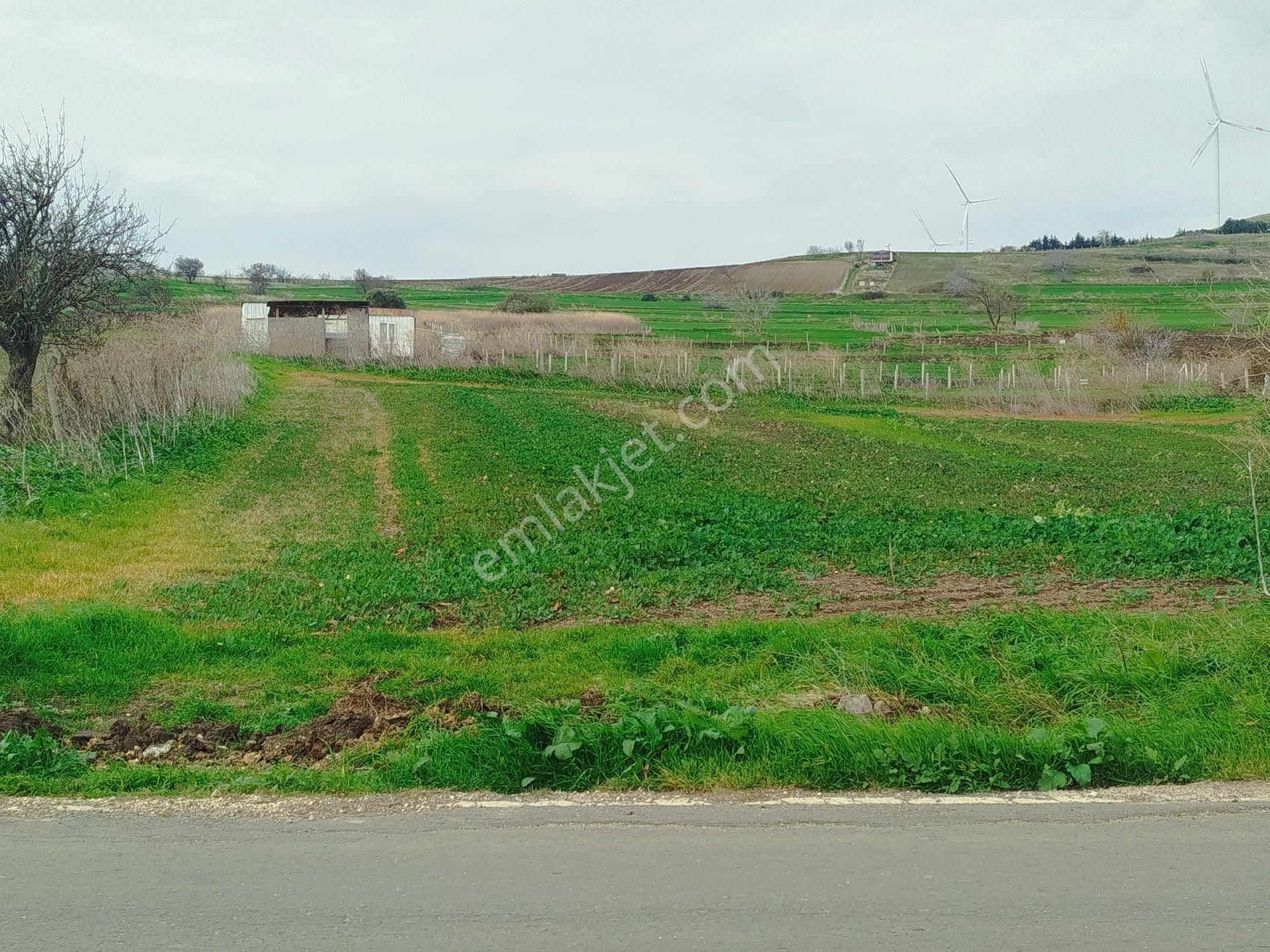 Silivri Çantaköyde Anayola 4.parsel Merkezi Konumlu Müstakil Tarla - Görsel 3