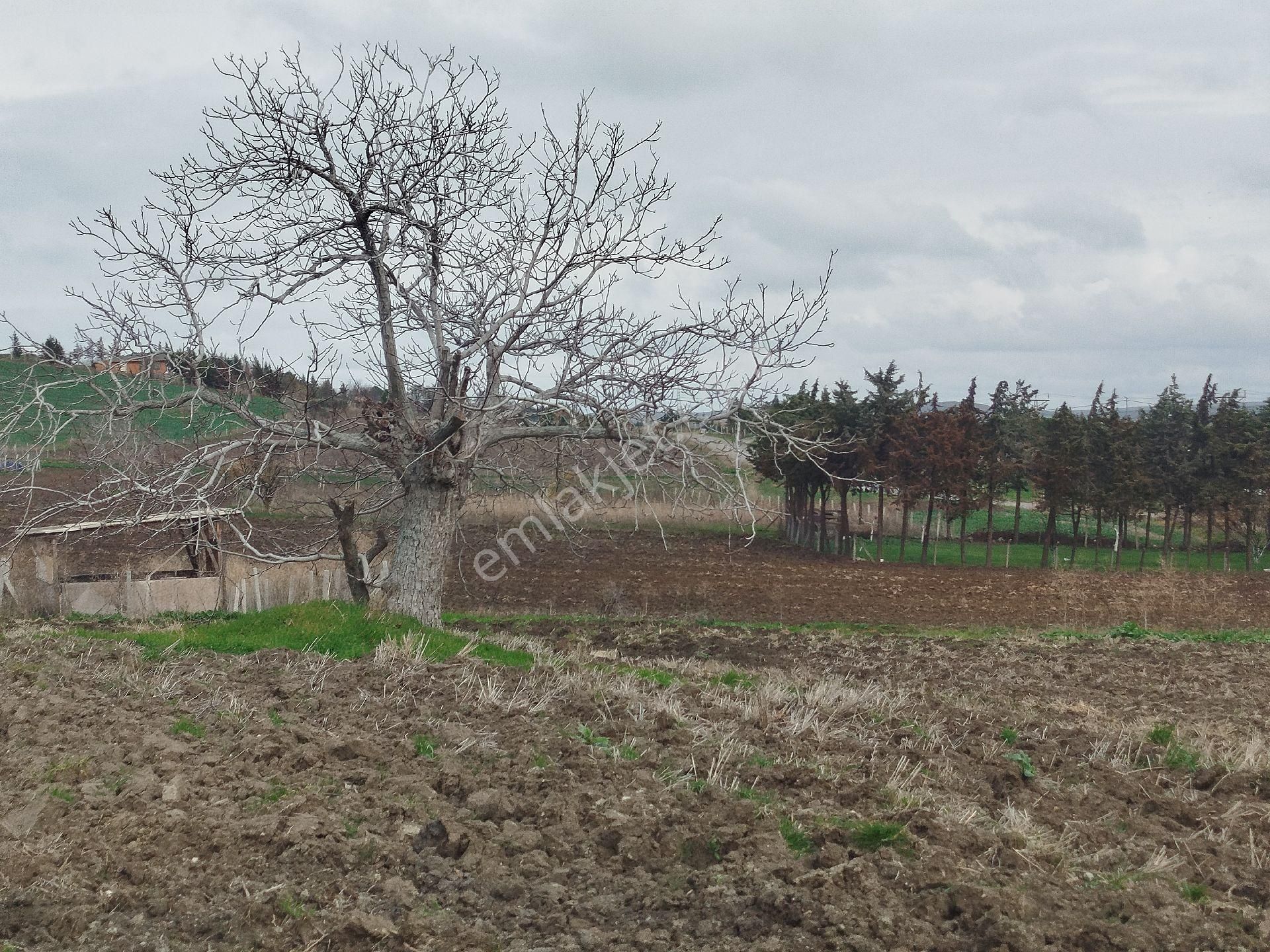 Silivri Çantaköyde Anayola 4.parsel Merkezi Konumlu Müstakil Tarla - Görsel 16
